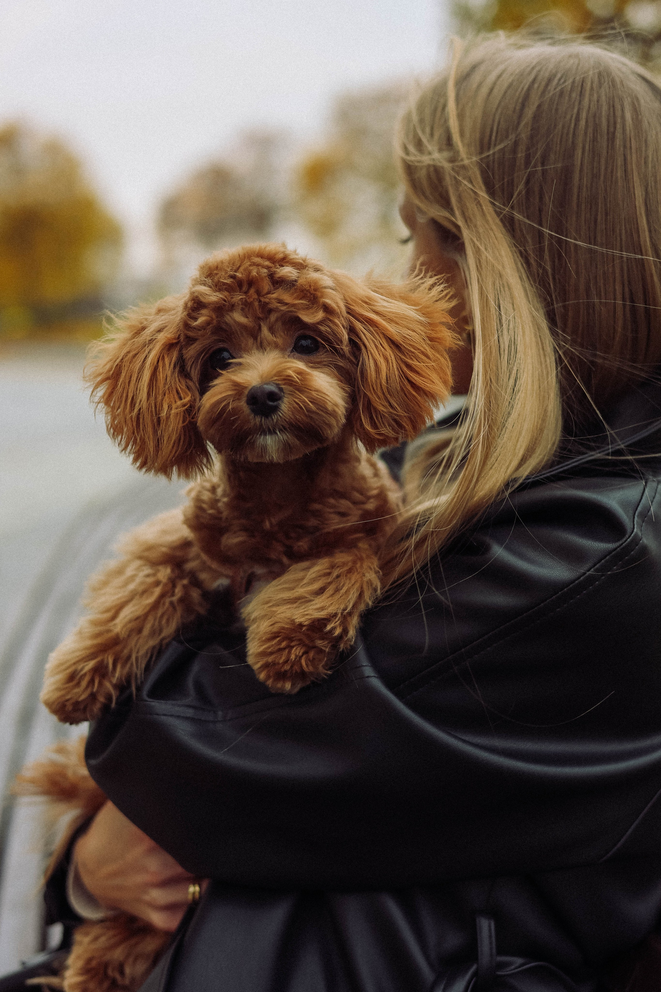 Кира. Фотограф в Москве Анастасия Калинина