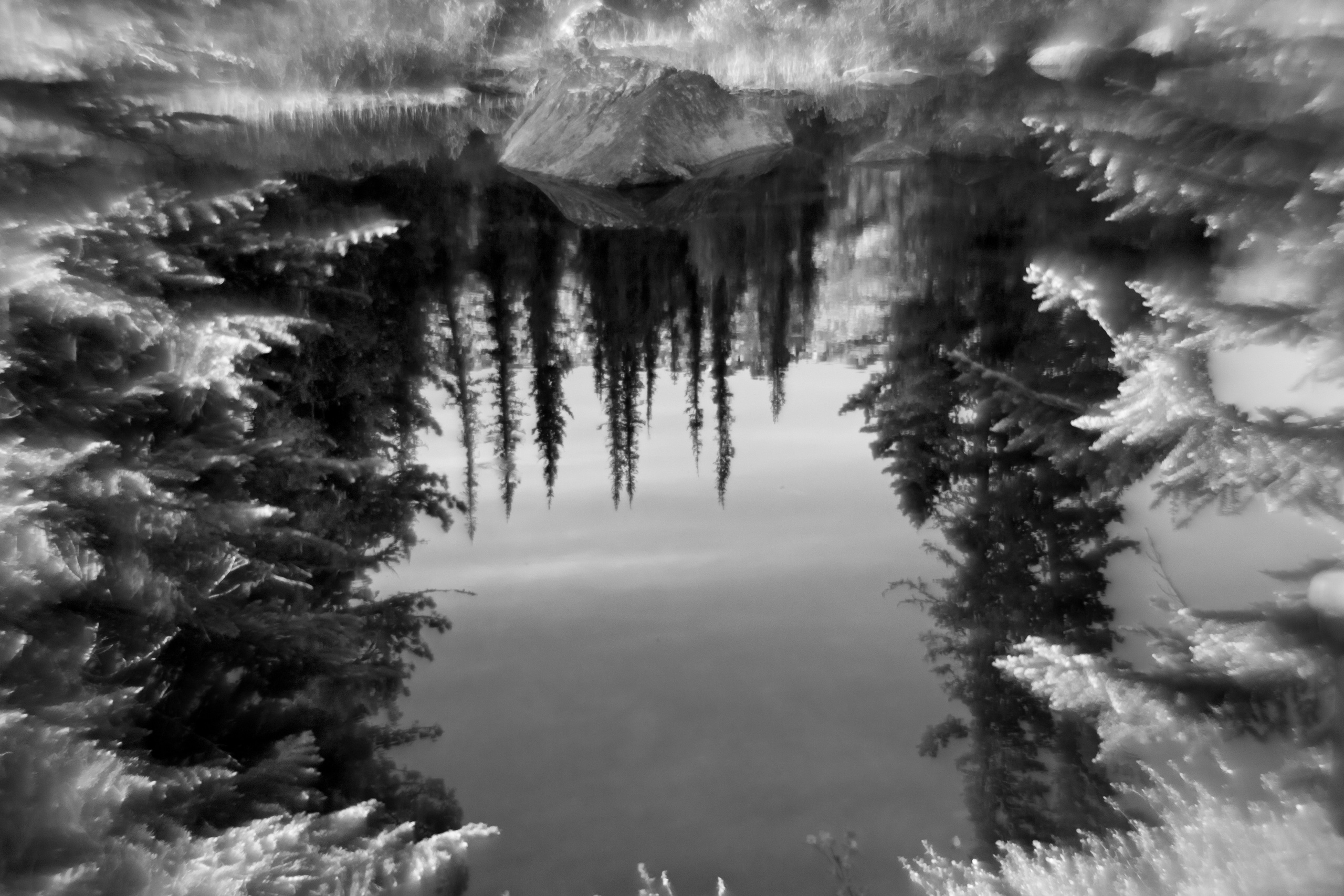 «Фотострелка» | Фестиваль черно-белой фотографии. Фотограф в Красноярске Оксана Корчагина