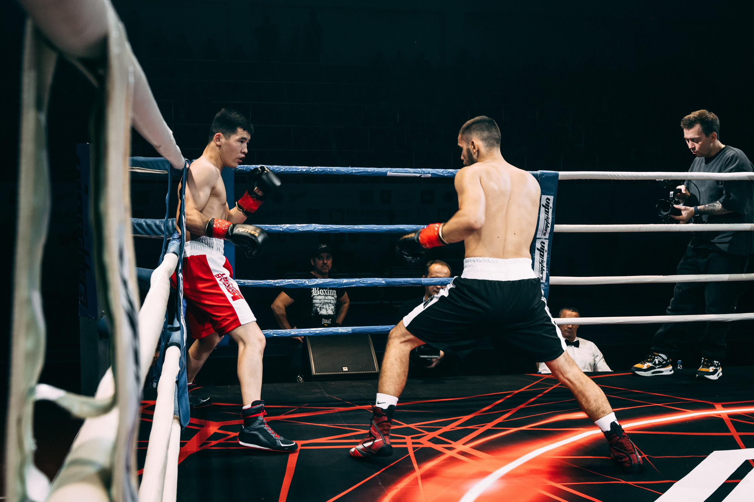 VipFighters vs SFC. Фотограф в Волгограде Марина Черных