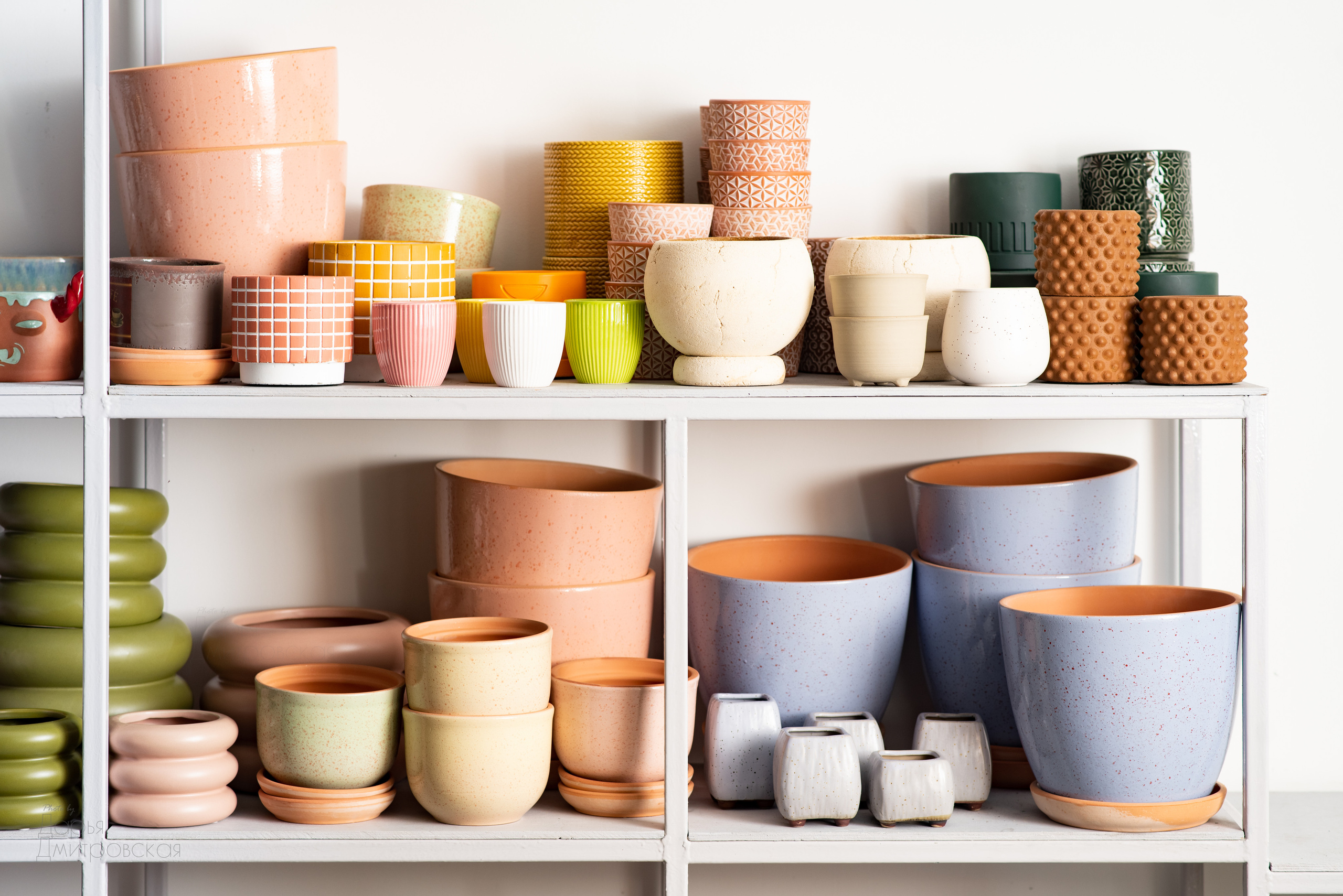 Room Room Plant. Фотограф в Москве Дмитровская Дарья