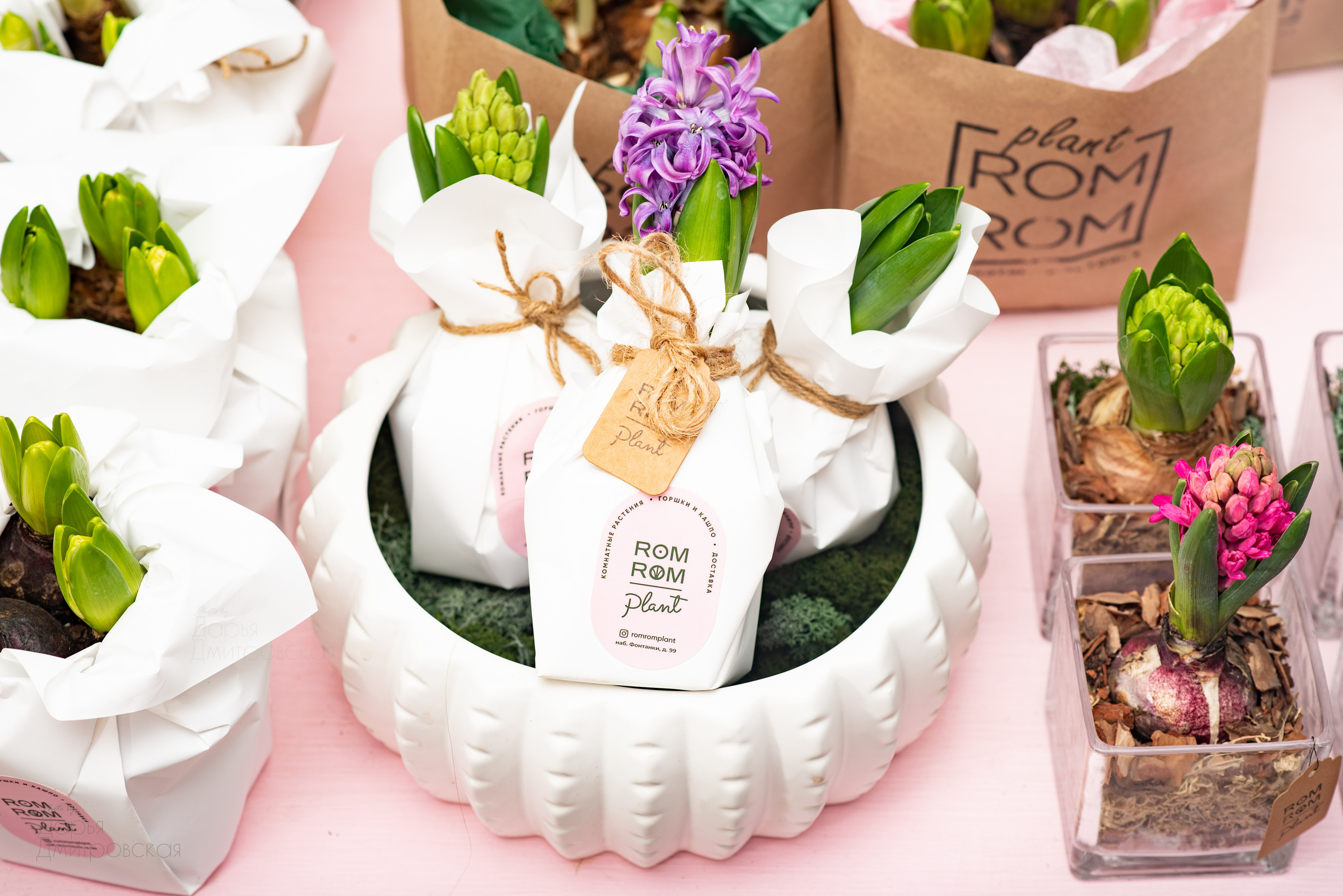 Room Room Plant. Фотограф в Москве Дмитровская Дарья