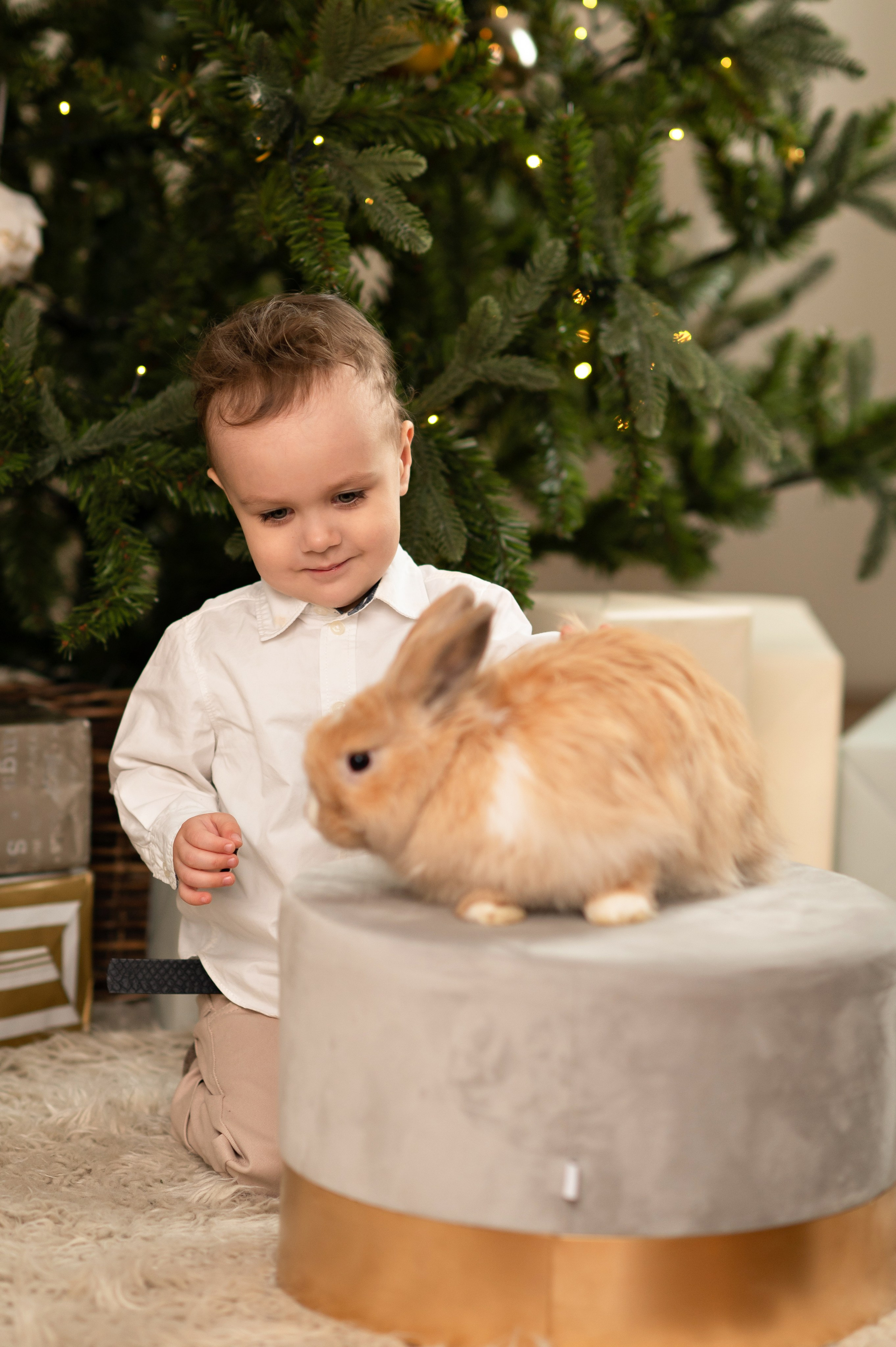 В студии. Семейный фотограф в Красноярске Надежда Кошелева