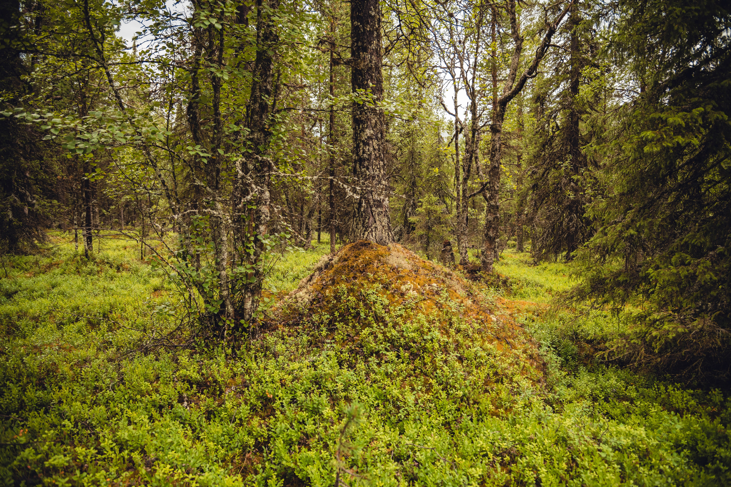 Кольский полуостров. Фотографирую для себя, своей семьи и друзей!