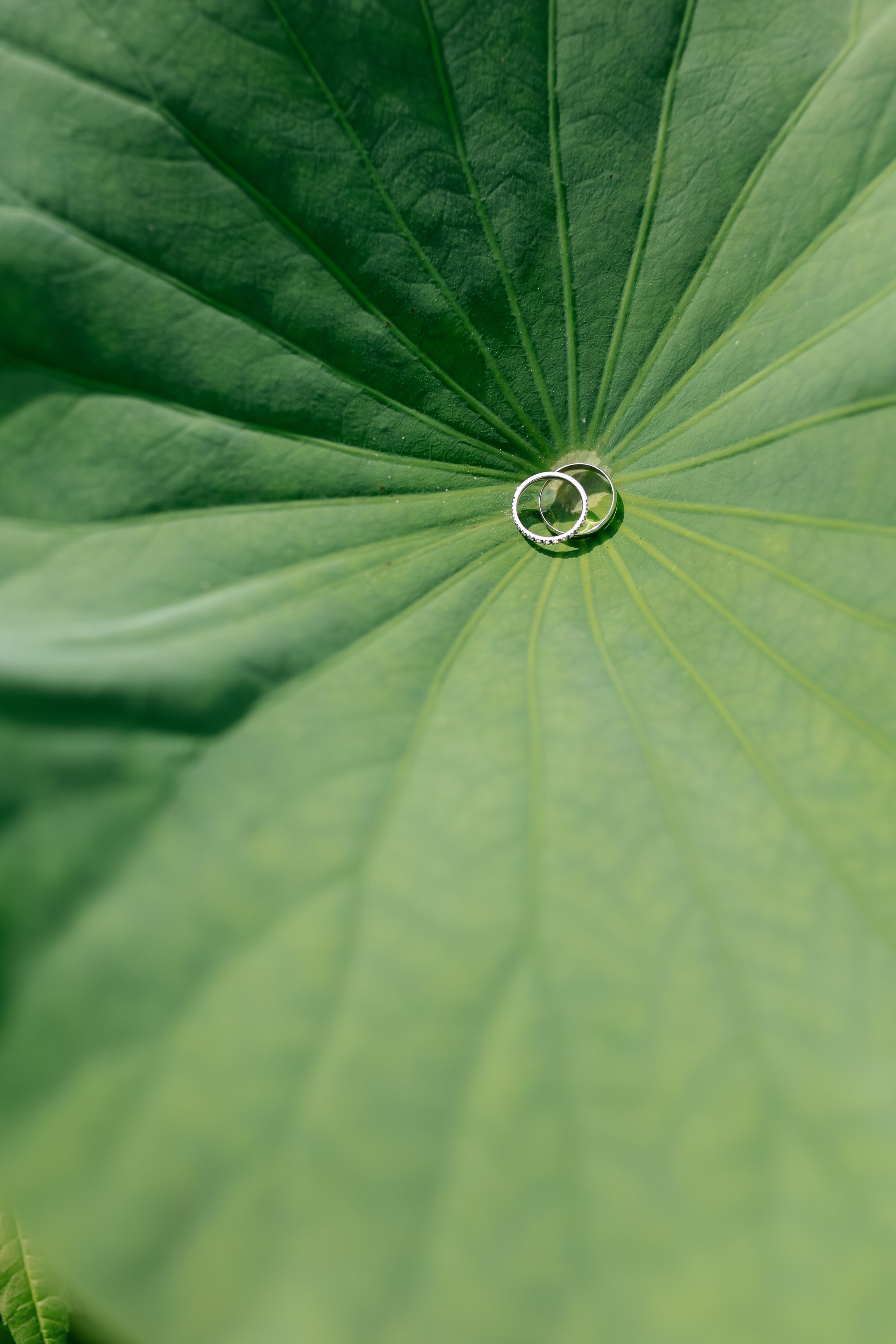 Свадебный фотограф в Хабаровске