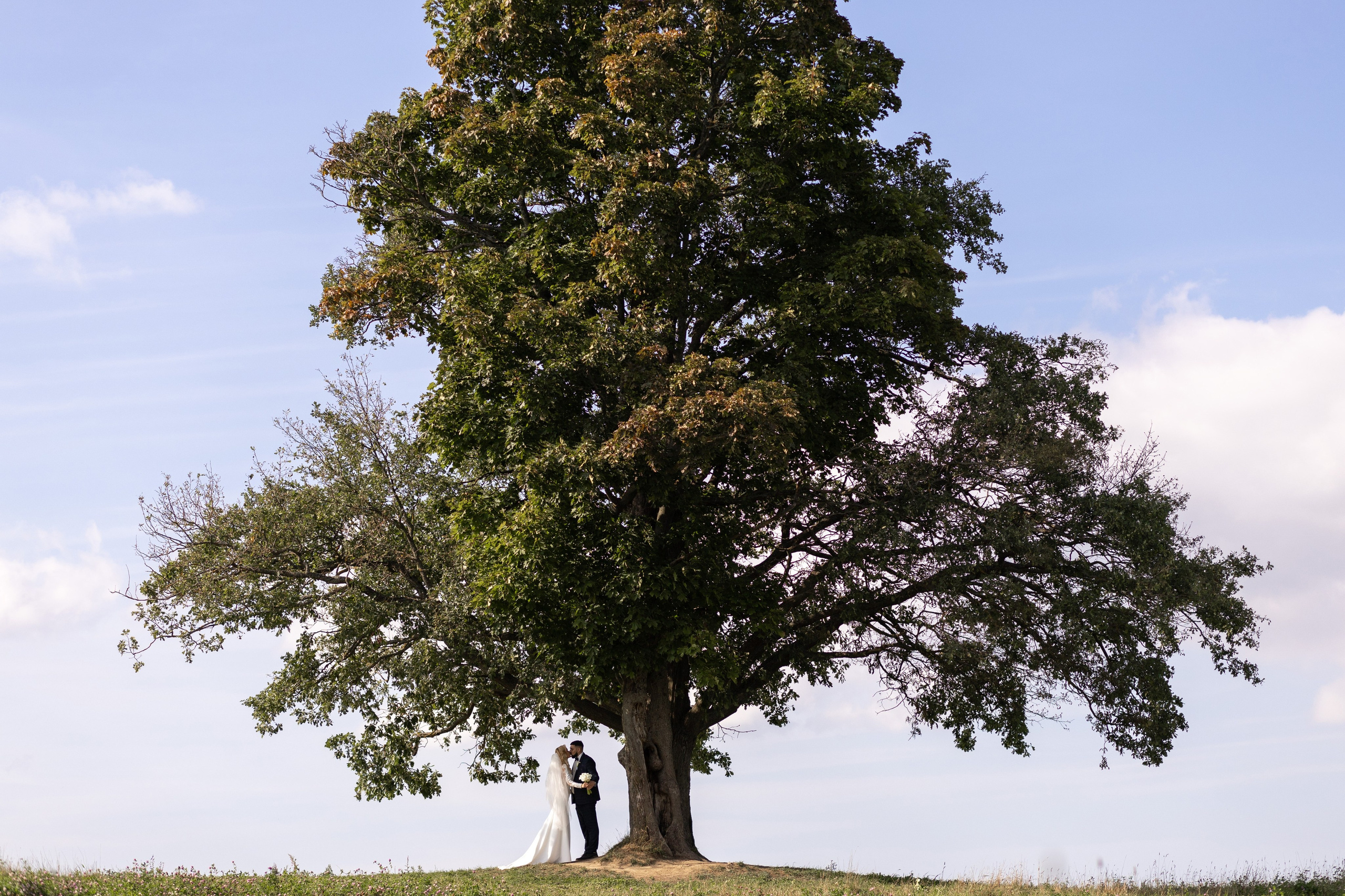 Мое портфолио за 2025 год. Свадебный фотограф СПБ