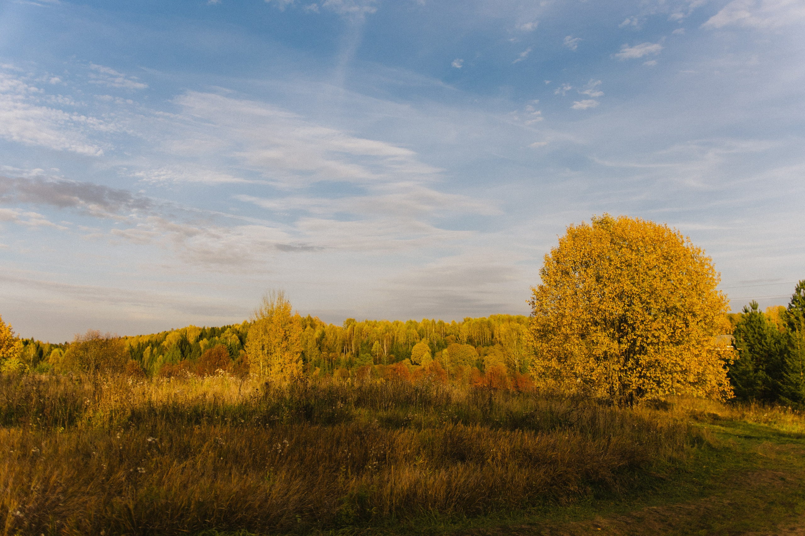 Поездка в Ошеть. Фотограф в Кирове и Кирово-Чепецке Валерия Шиляева