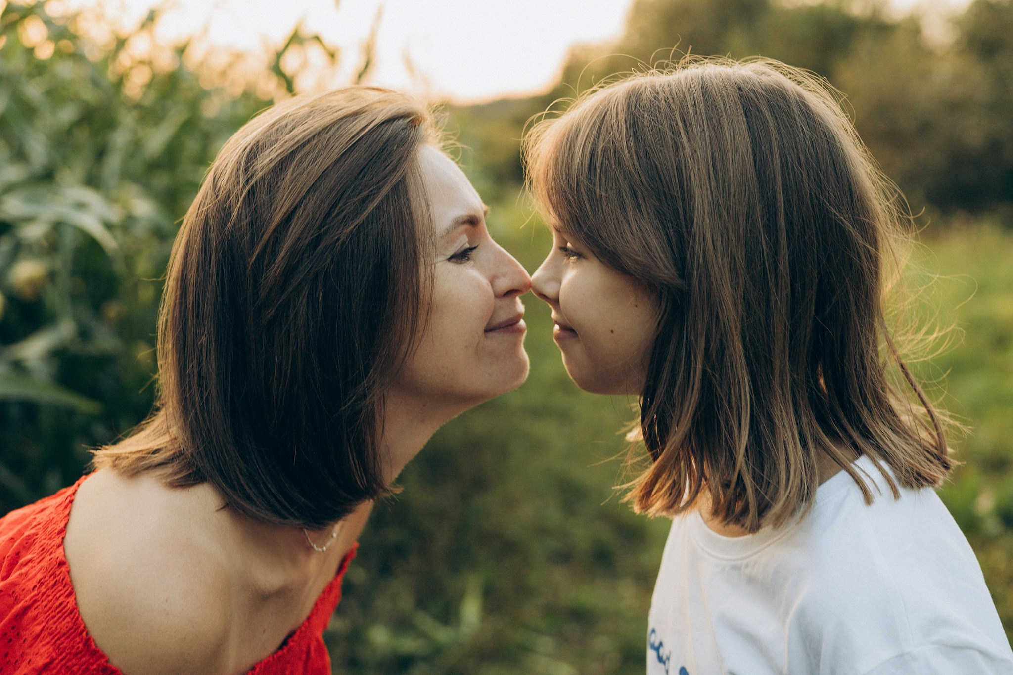 В кукурузе. Главная