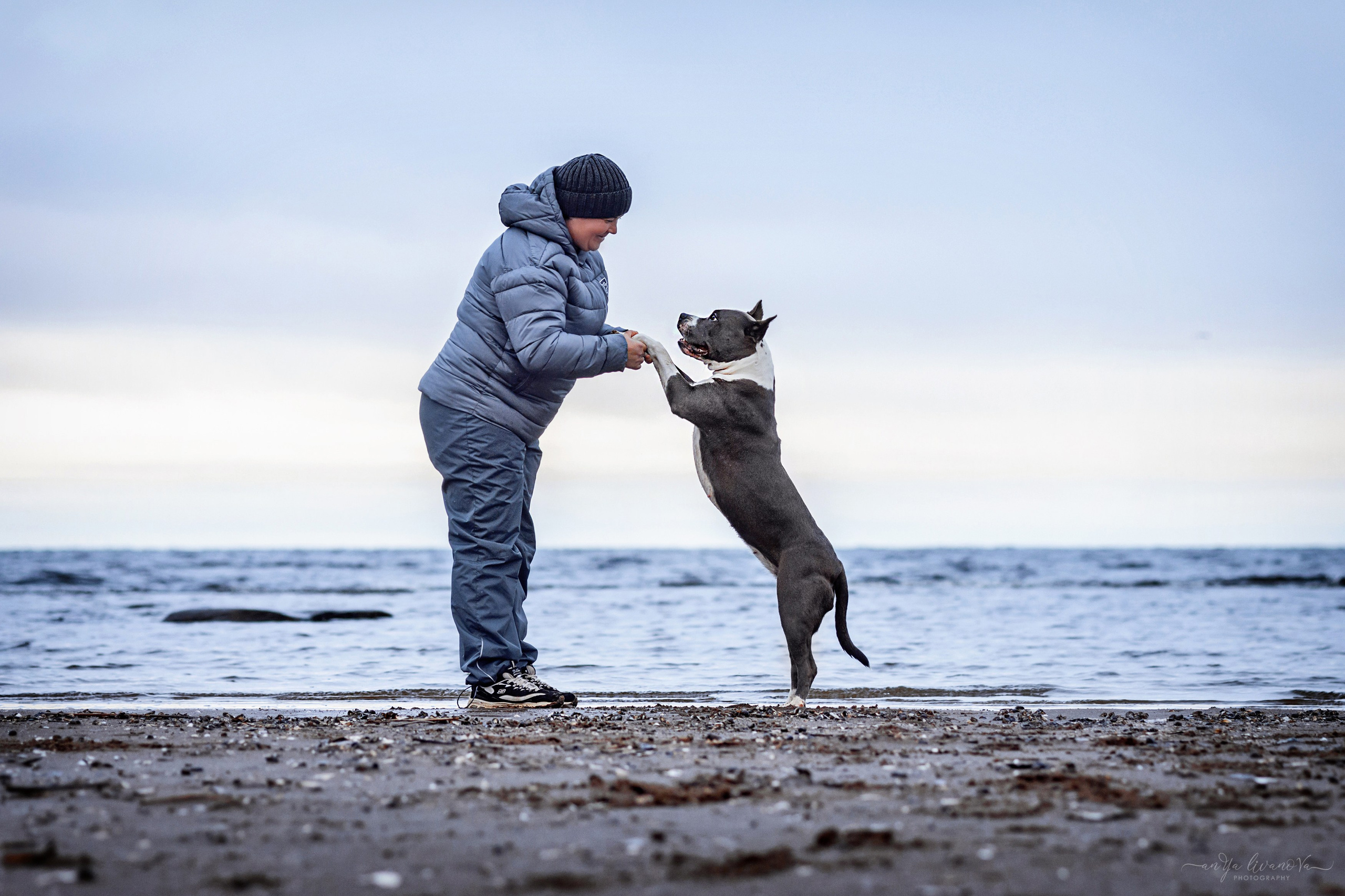 Деля. Фотограф анималист Аня Ливанова | Рыбинск