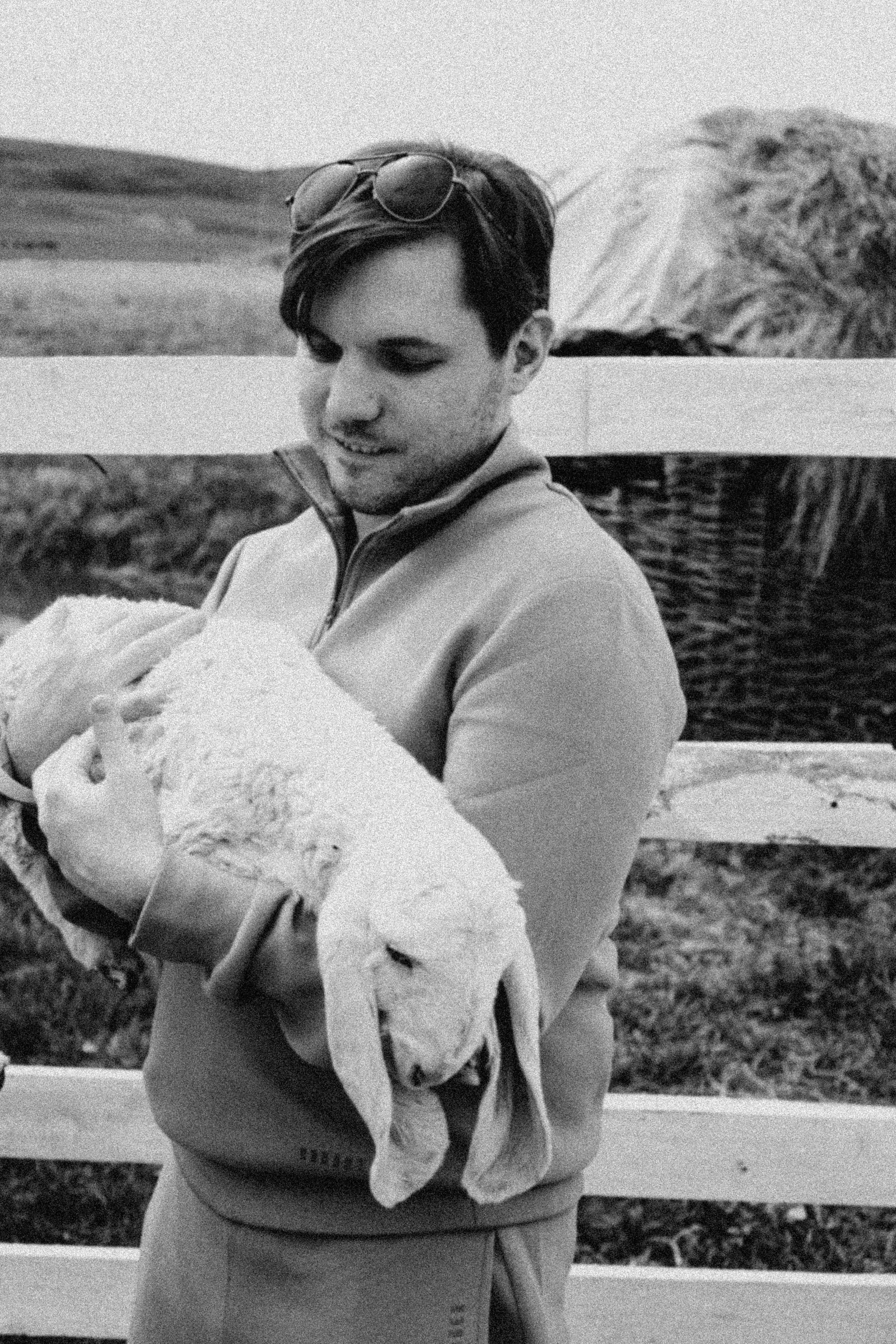 Ферма Альпак. Профессиональный фотограф, Санкт-Петербург — Виктория Богомолова