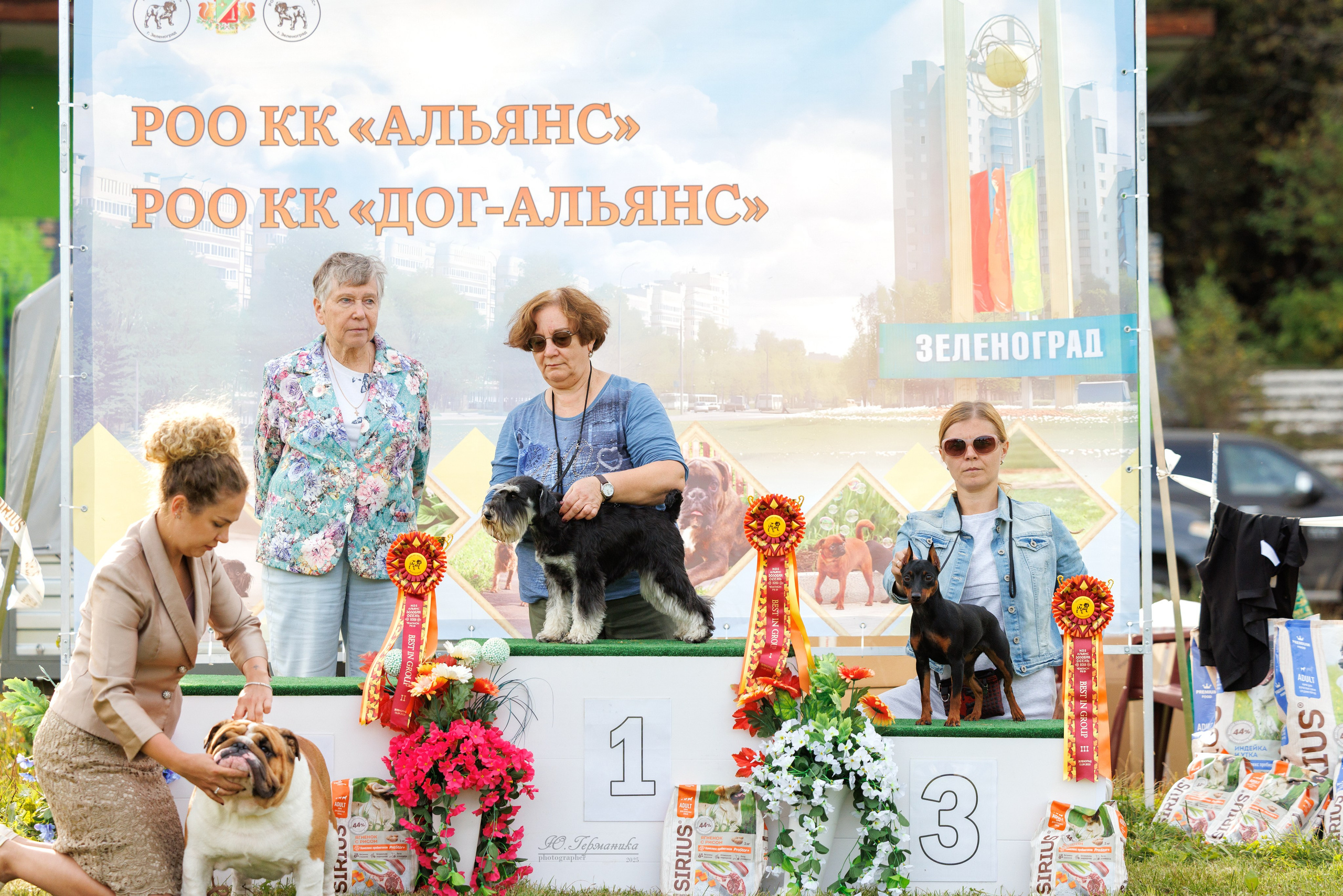 Зеленоград 13.09.2025. Фотограф-анималист Юлия Германика