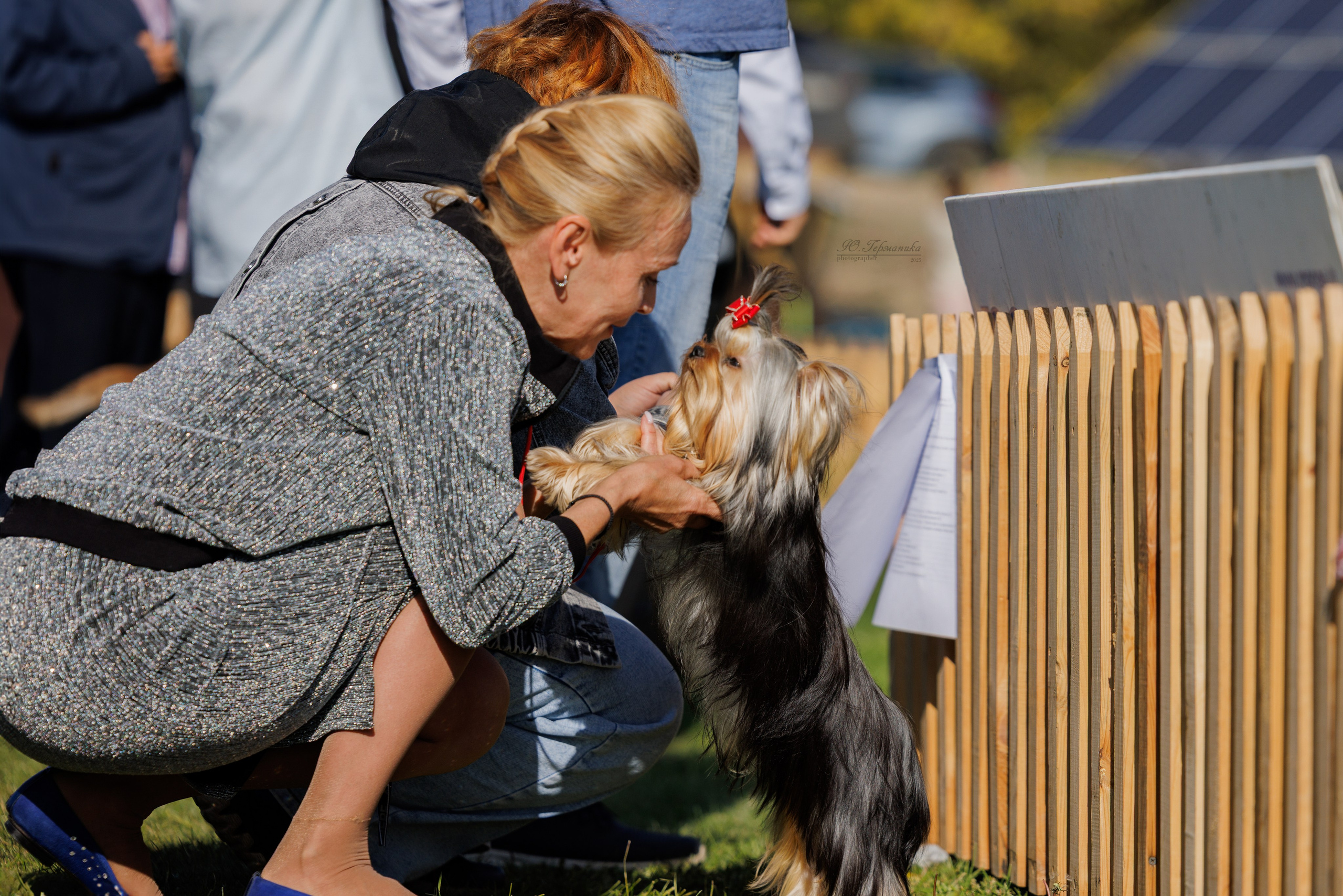 Ереван 14-16.10.2025. Фотограф-анималист Юлия Германика