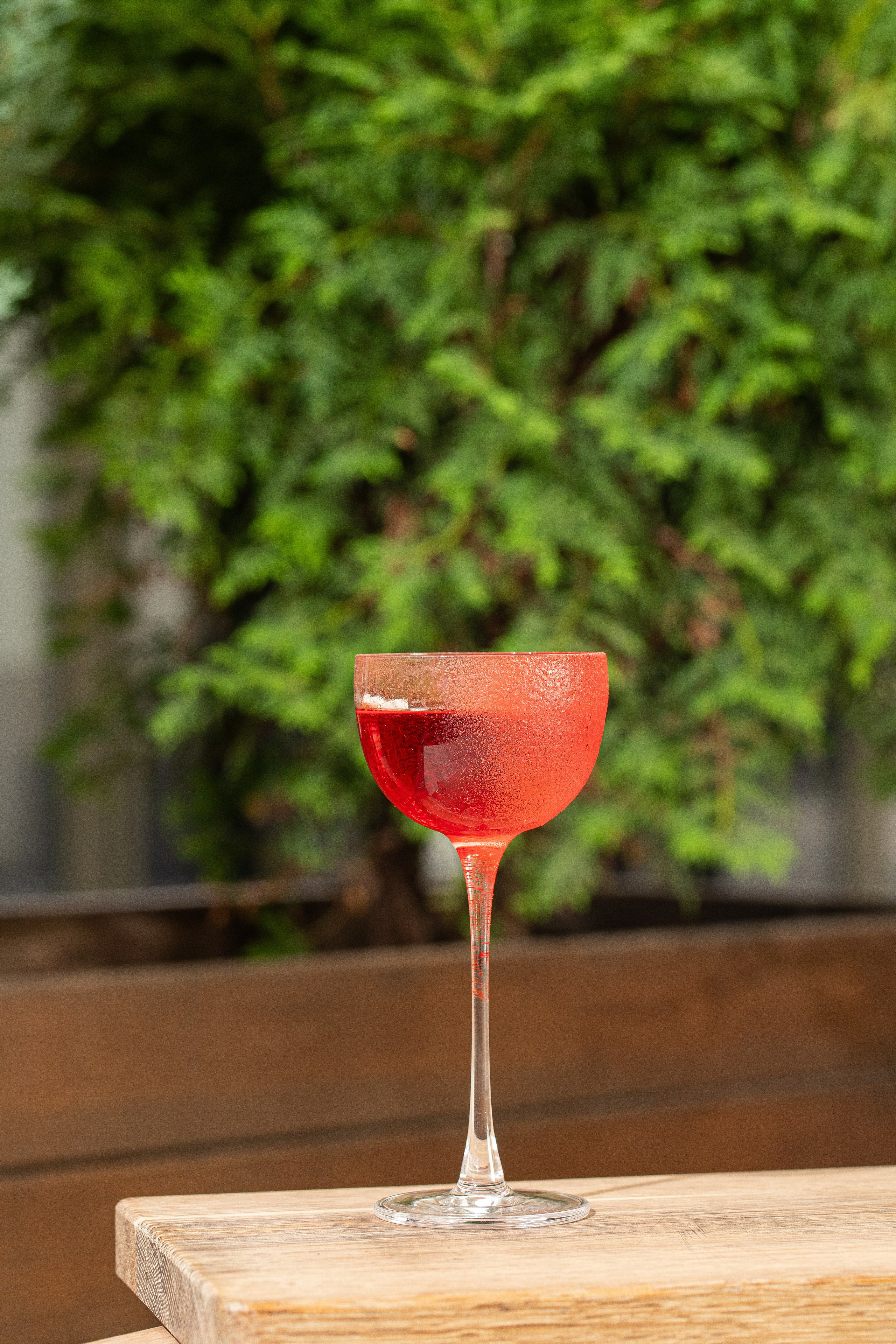 Shore House Village. Краснов Максим фуд-фотограф, предметный фотограф, Москва