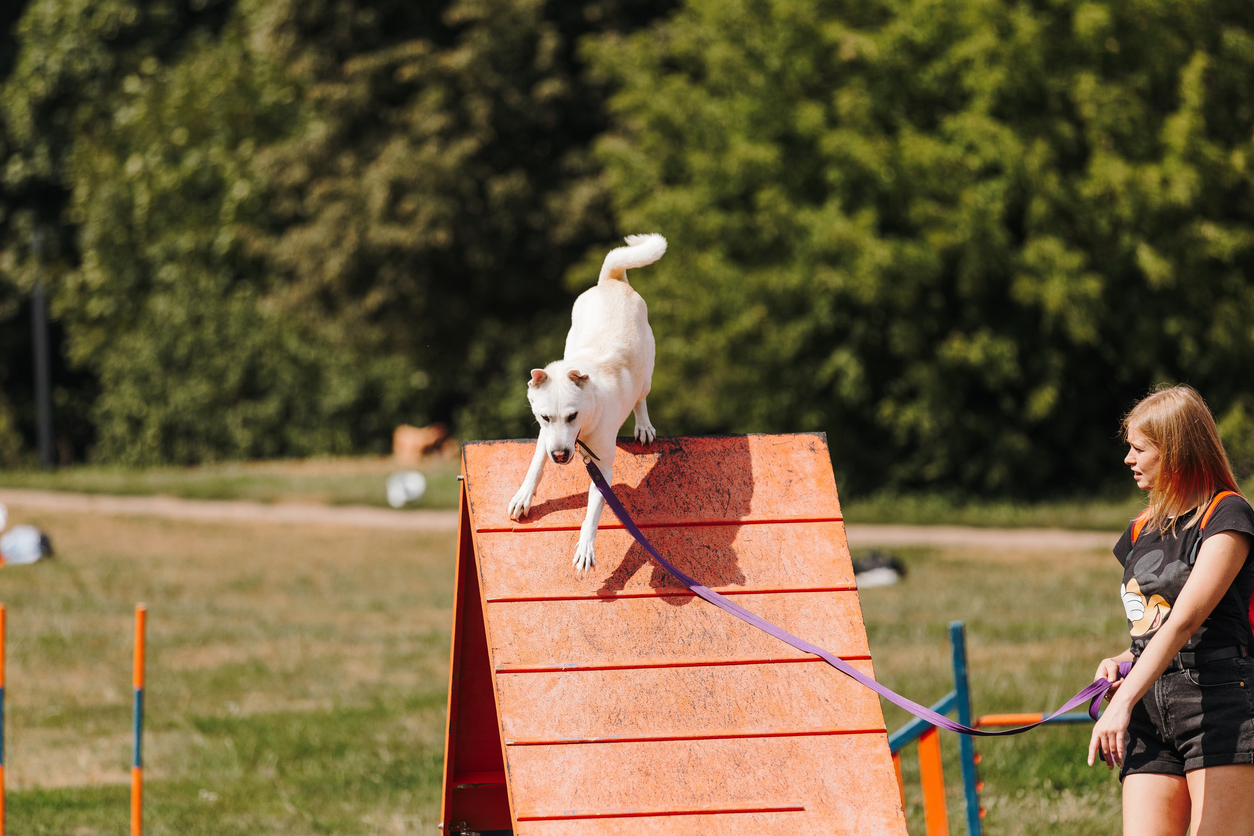 Petshop Sup day. Фотограф анималист Кристина Карпова, Москва
