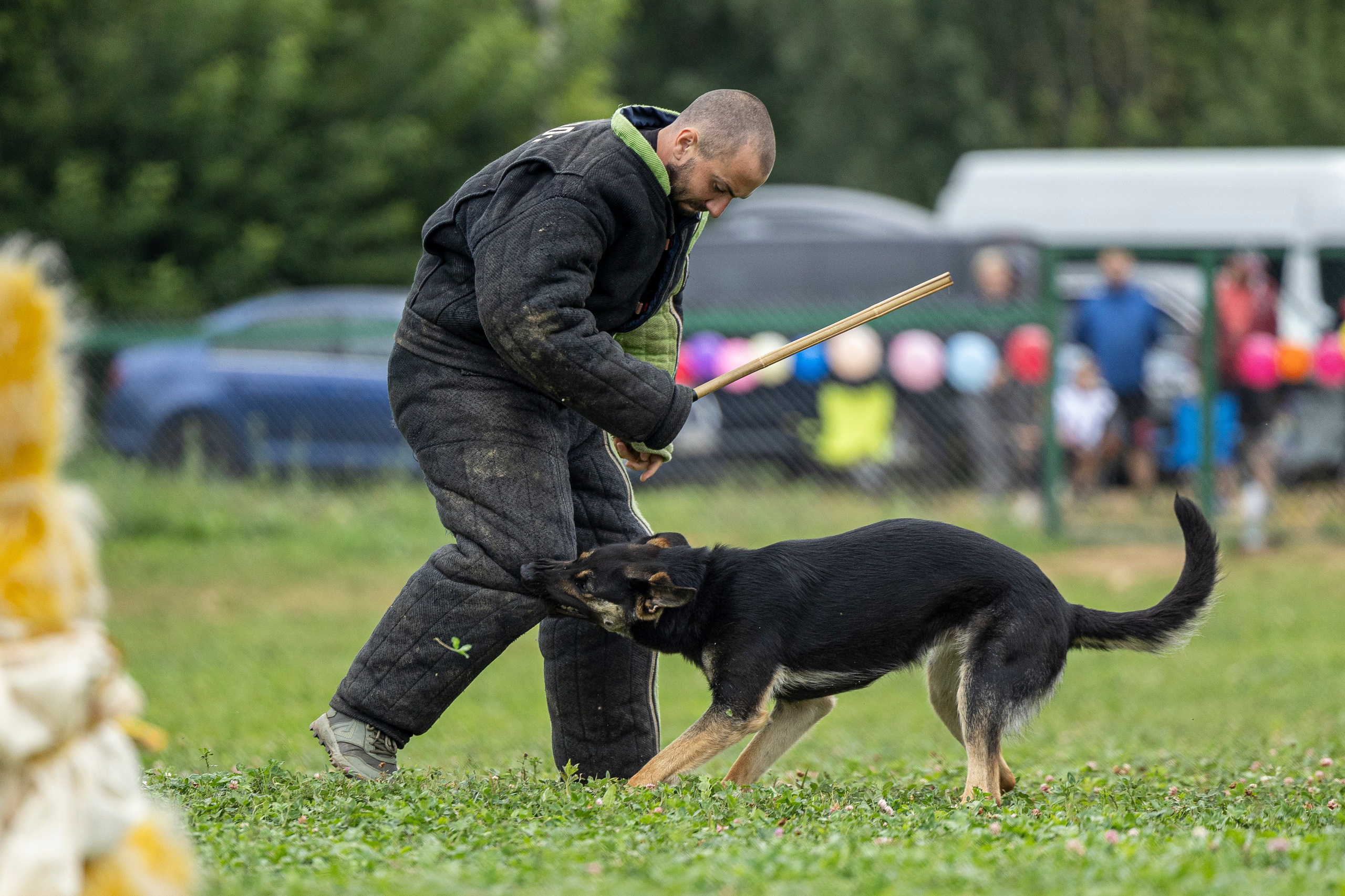 Соревнования по Мондьорингу г. Вологда 10-11.08.2024. Фотограф-анималист Анна Маринич