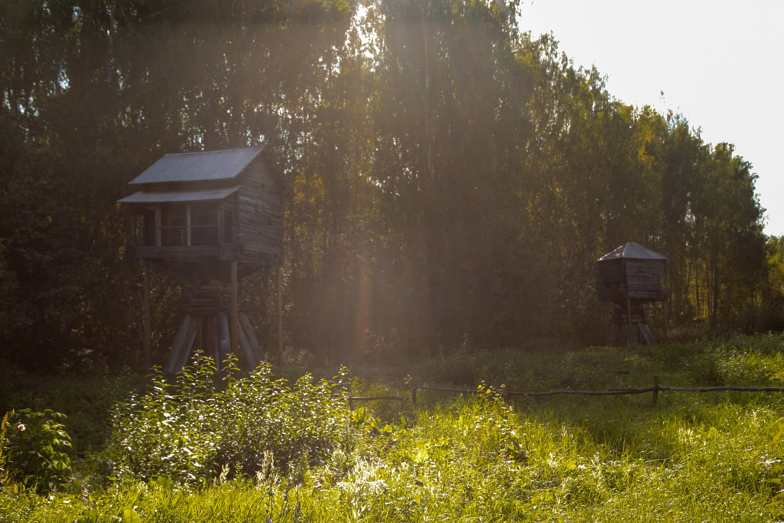 Кострома 06.09.2025. Репортажный фотограф в Москве Агафонова Мария