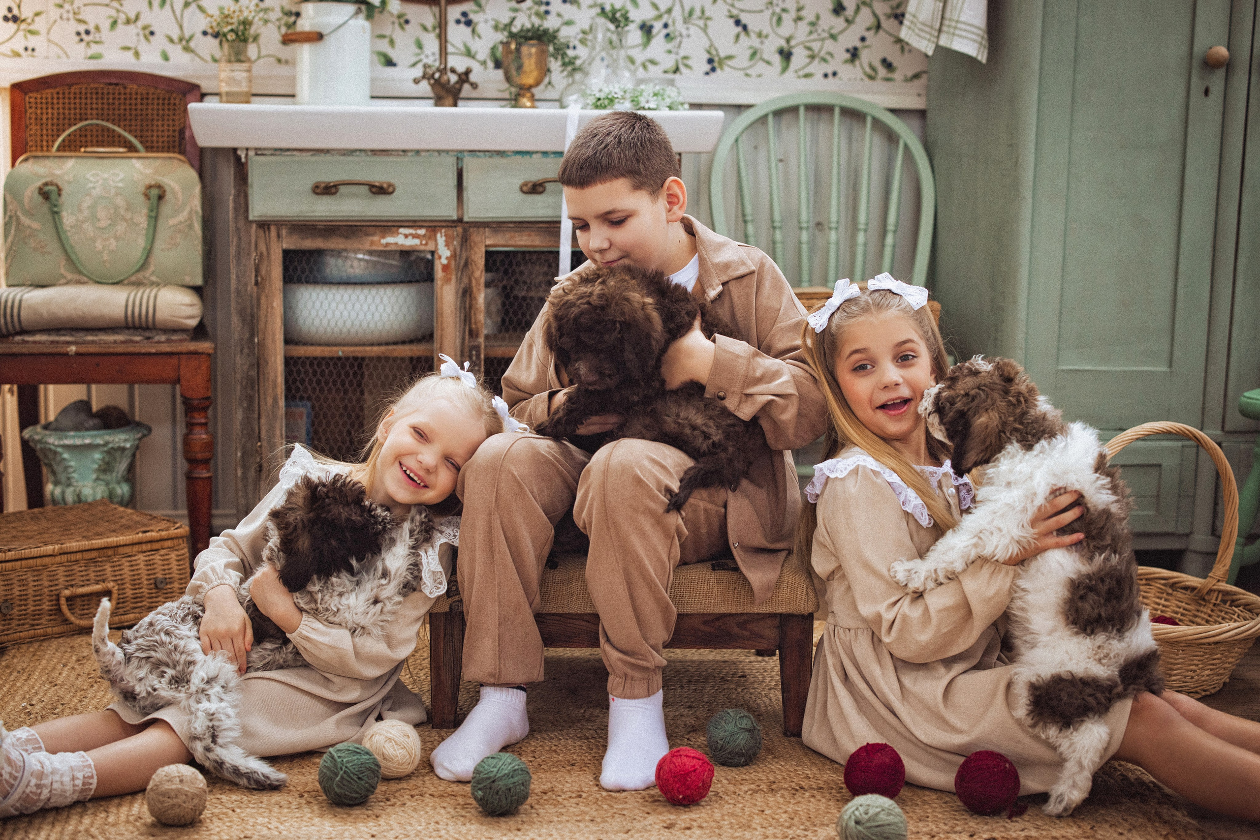 Фотосессия с щенками Лаго́тто-романьо́ло, в Винтажной фотостудии город Краснодар. Семейный и детский фотограф в Краснодаре Анна Трашкова