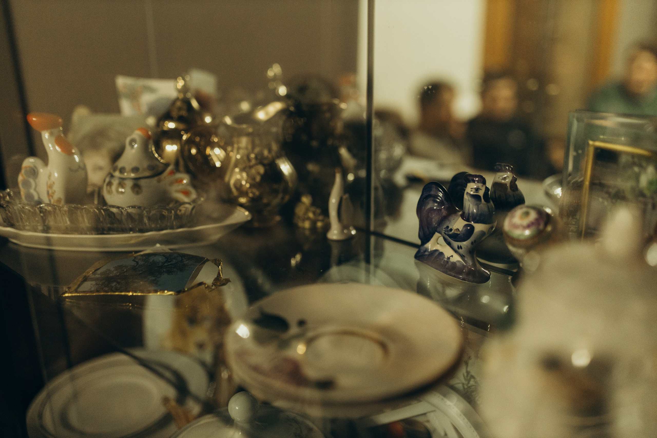 Домашняя история. Meryfotoidea