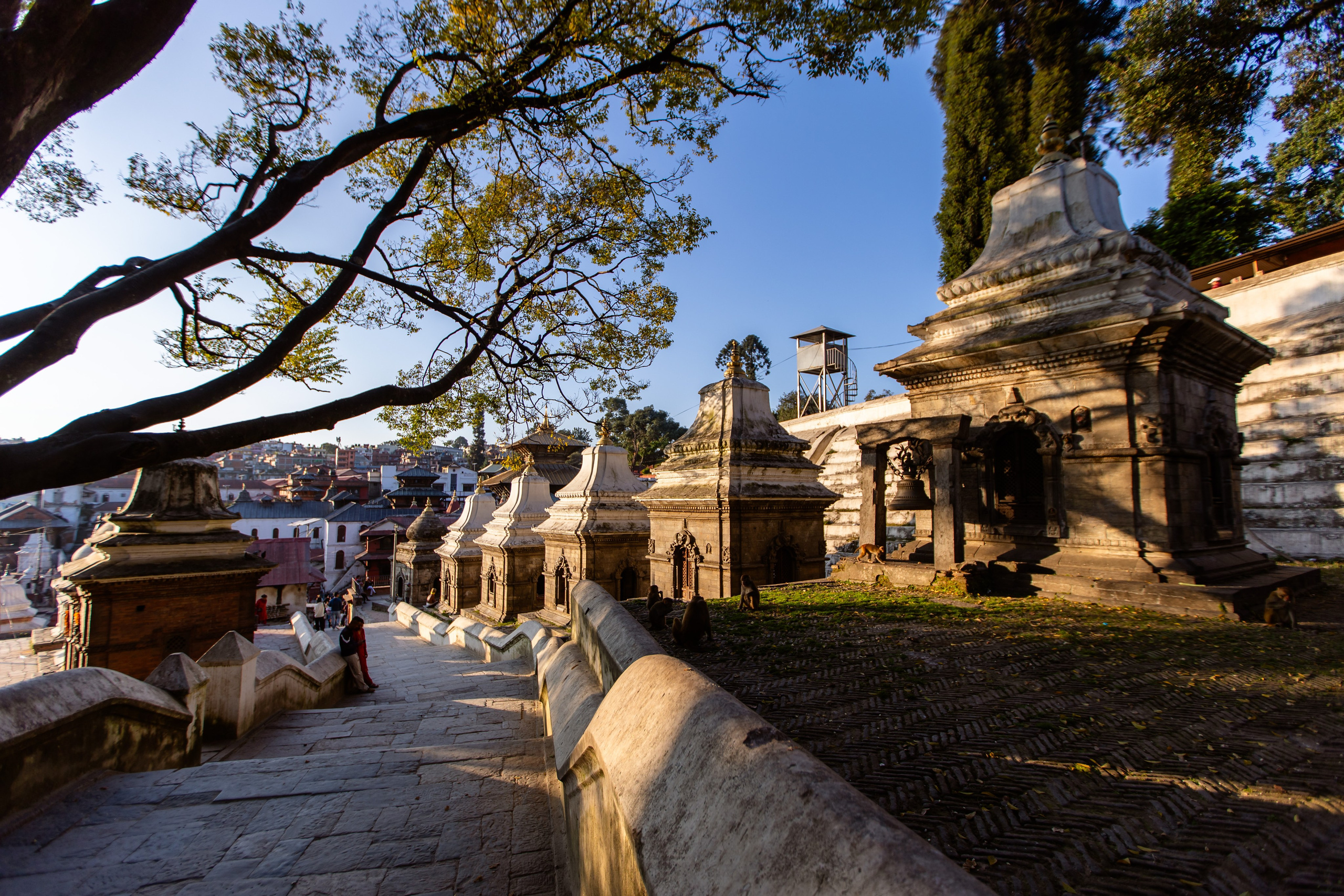 Непал. Фотограф Трынкова Татьяна