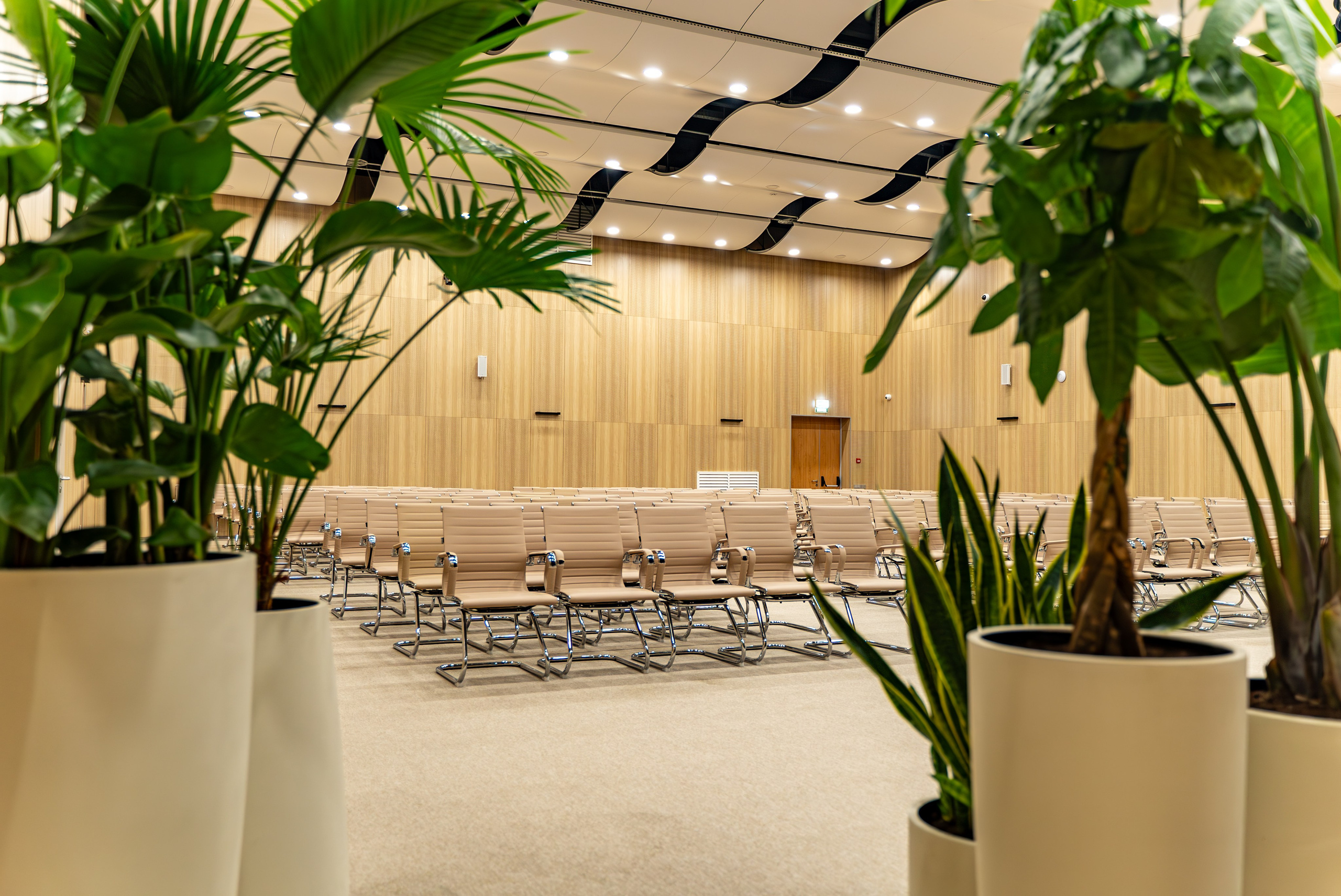 Индустриальный парк — озеленение. KUSTOV PRODUCTION — профессиональная фотосъёмка в Москве