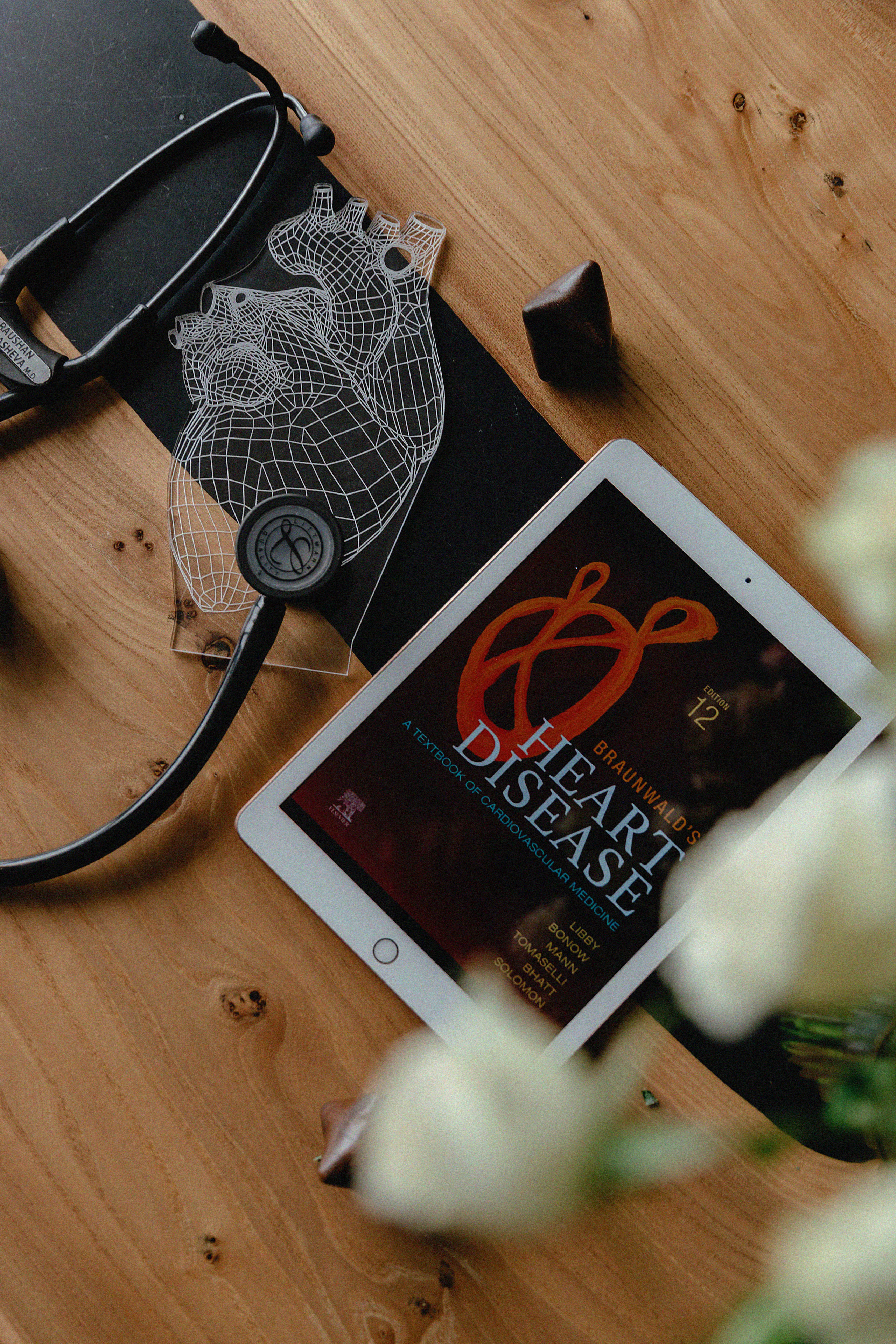 Фотосессия Раушан в фотостудии LightHub. Свадебный, семейный и портретный фотограф в Алматы, Костанай