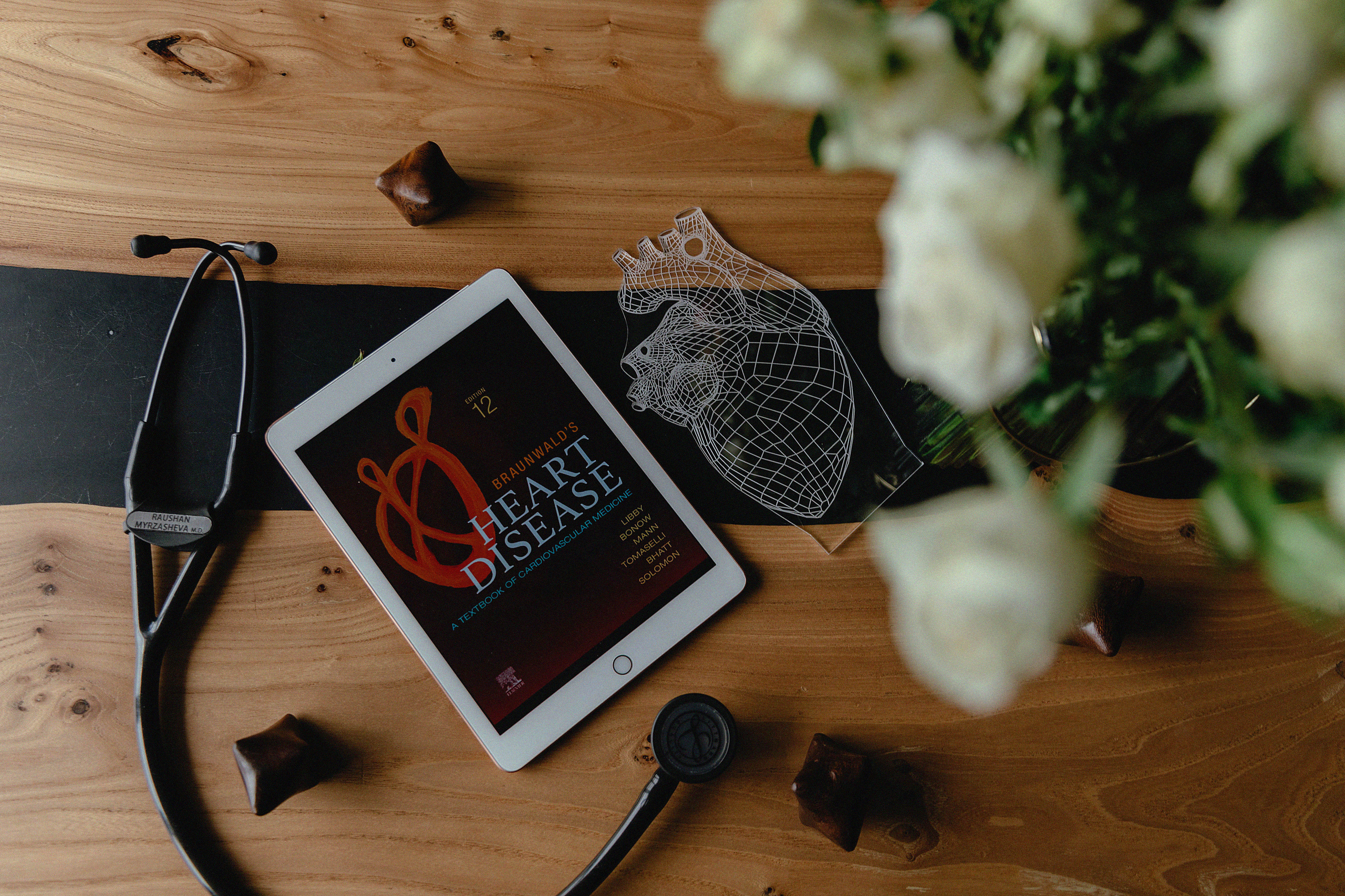 Фотосессия Раушан в фотостудии LightHub. Свадебный, семейный и портретный фотограф в Алматы, Костанай