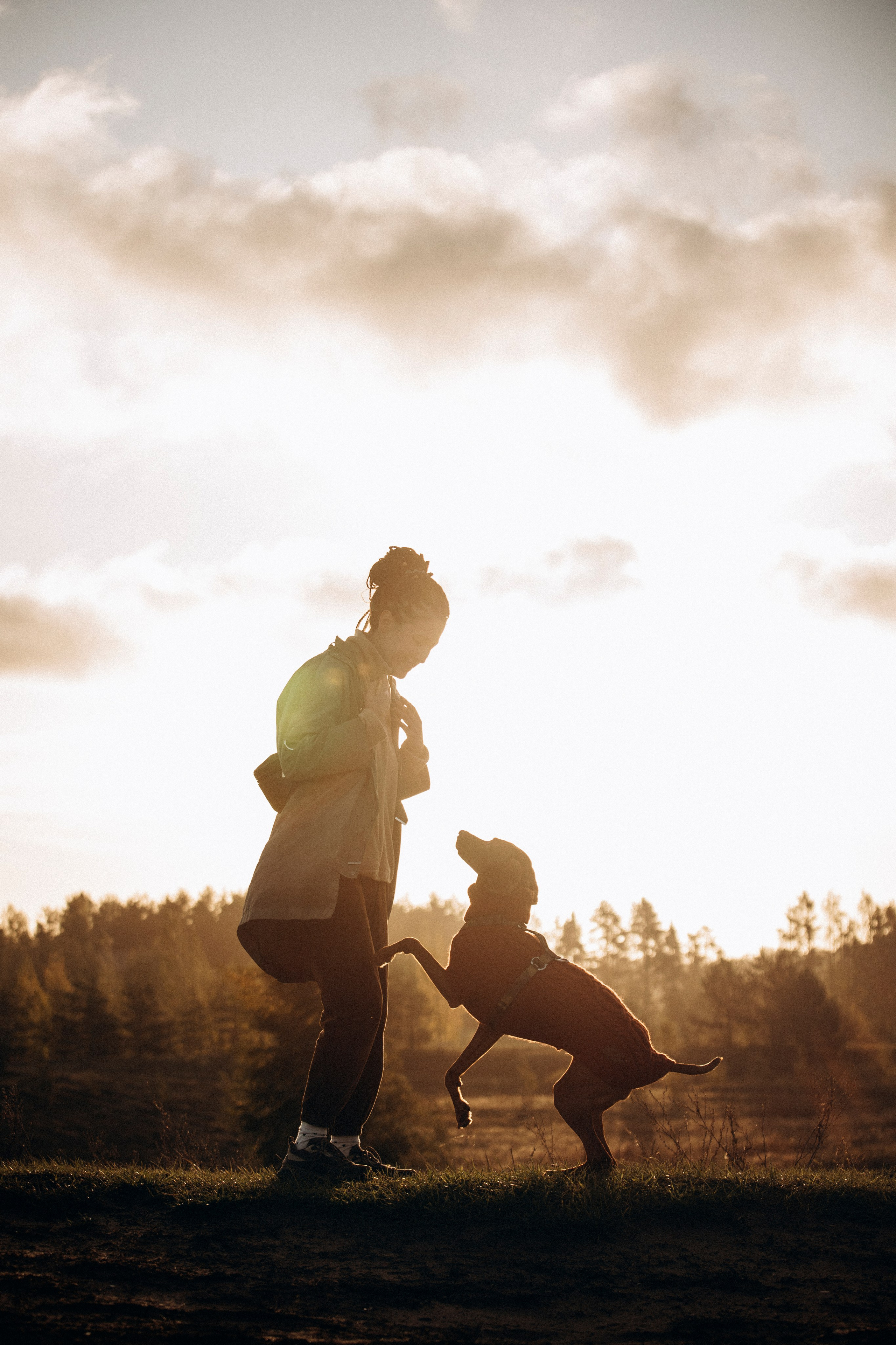 Трисс, Эста, Яся и их семья. Фотограф — Анималист | Санкт-Петербург