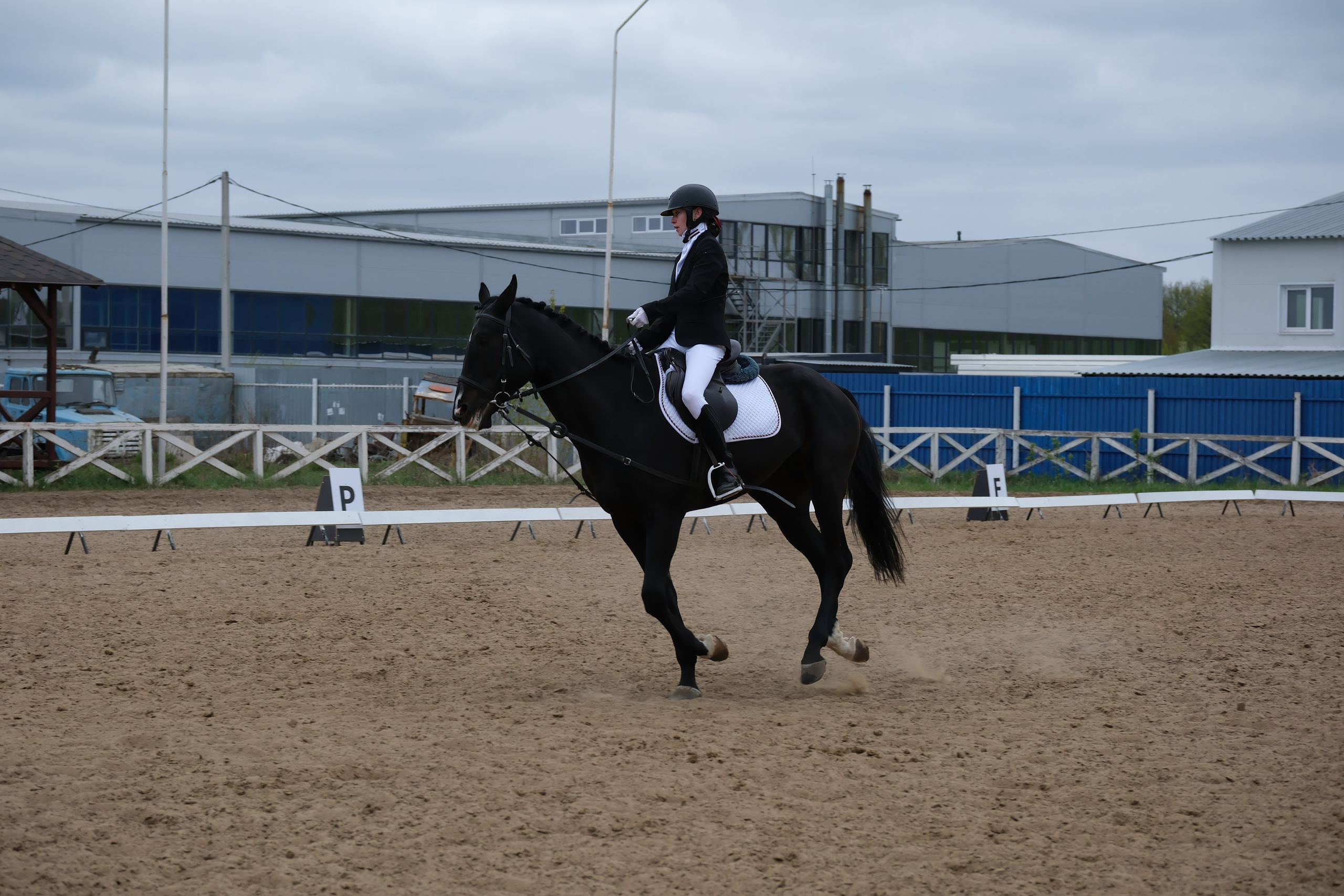 Соревнования по конному спорту в КСК «АЛЛЮР»!. Добро пожаловать в студию «Цифровой скульптор»  где искусство встречается с технологиями!