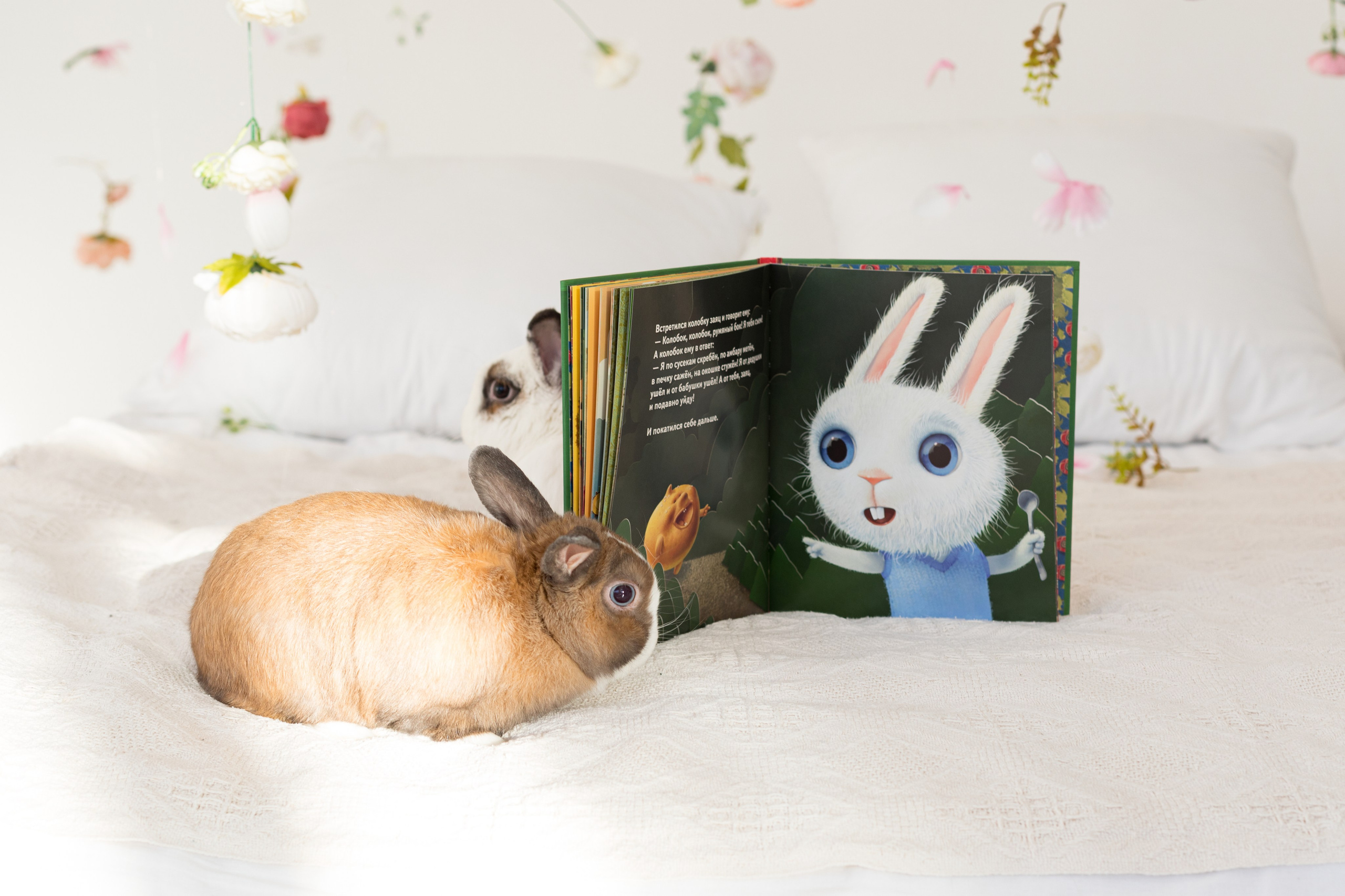Фотосессия с детскими книгами. Детский и контент фотограф Надя Волкова Санкт-Петербург