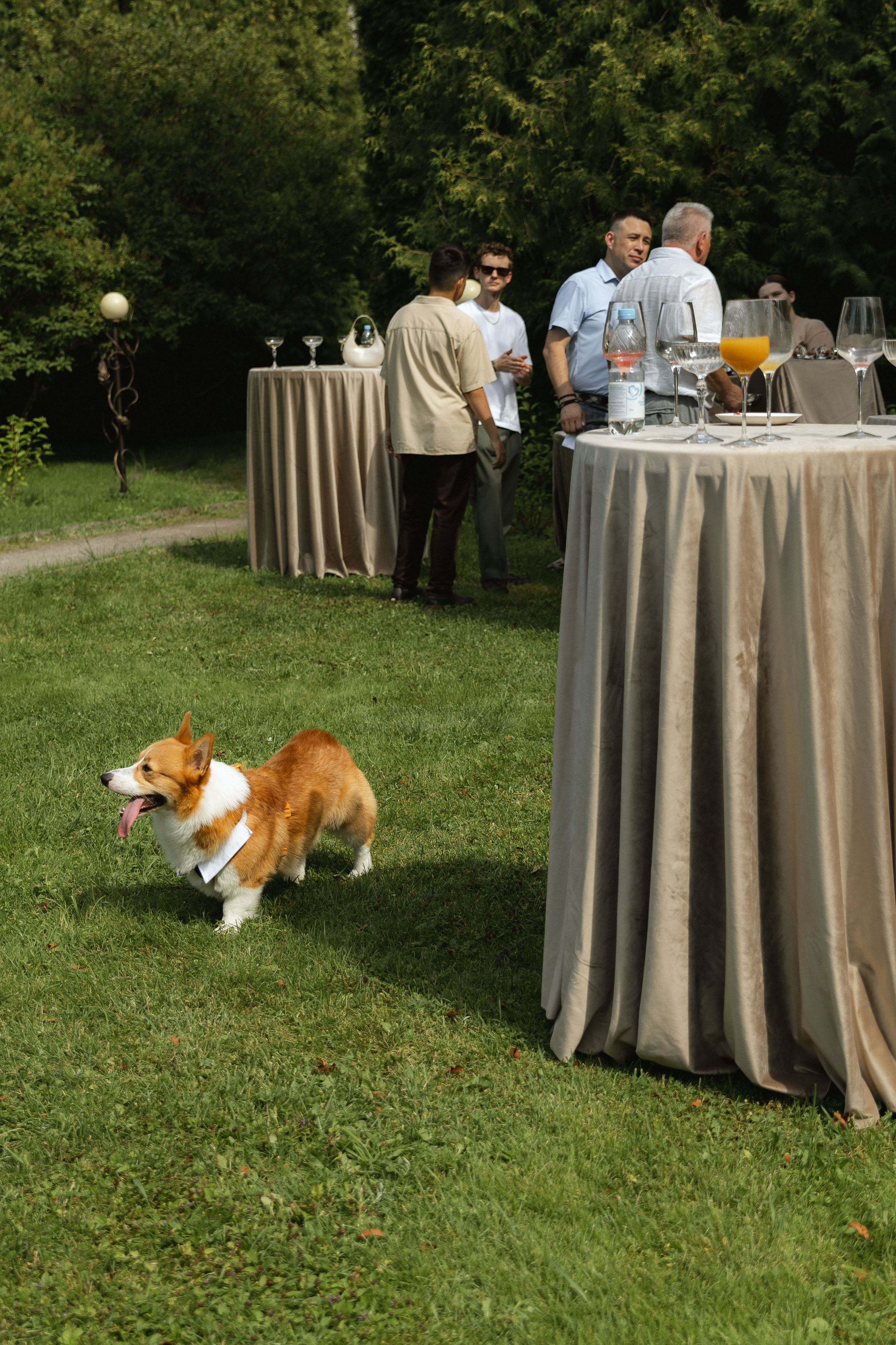 ТЫ — моё навсегда. Свадебный фотограф Ярославль, Рыбинск