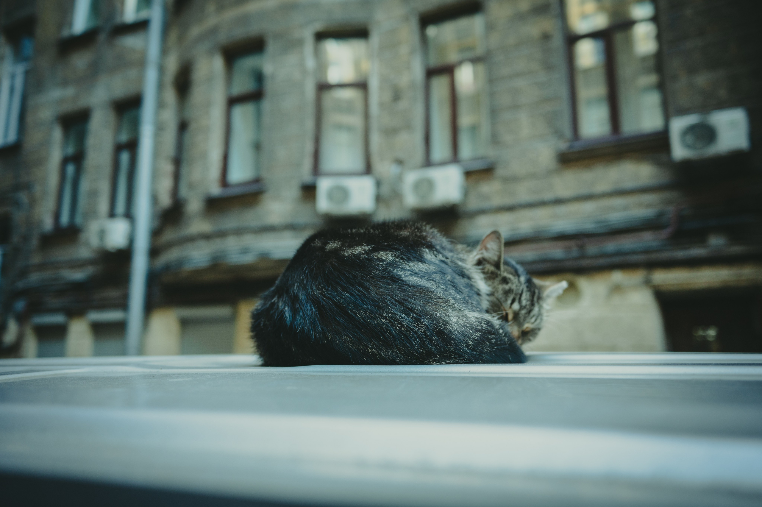 Питер. Фотограф Крещение Венчание Москва