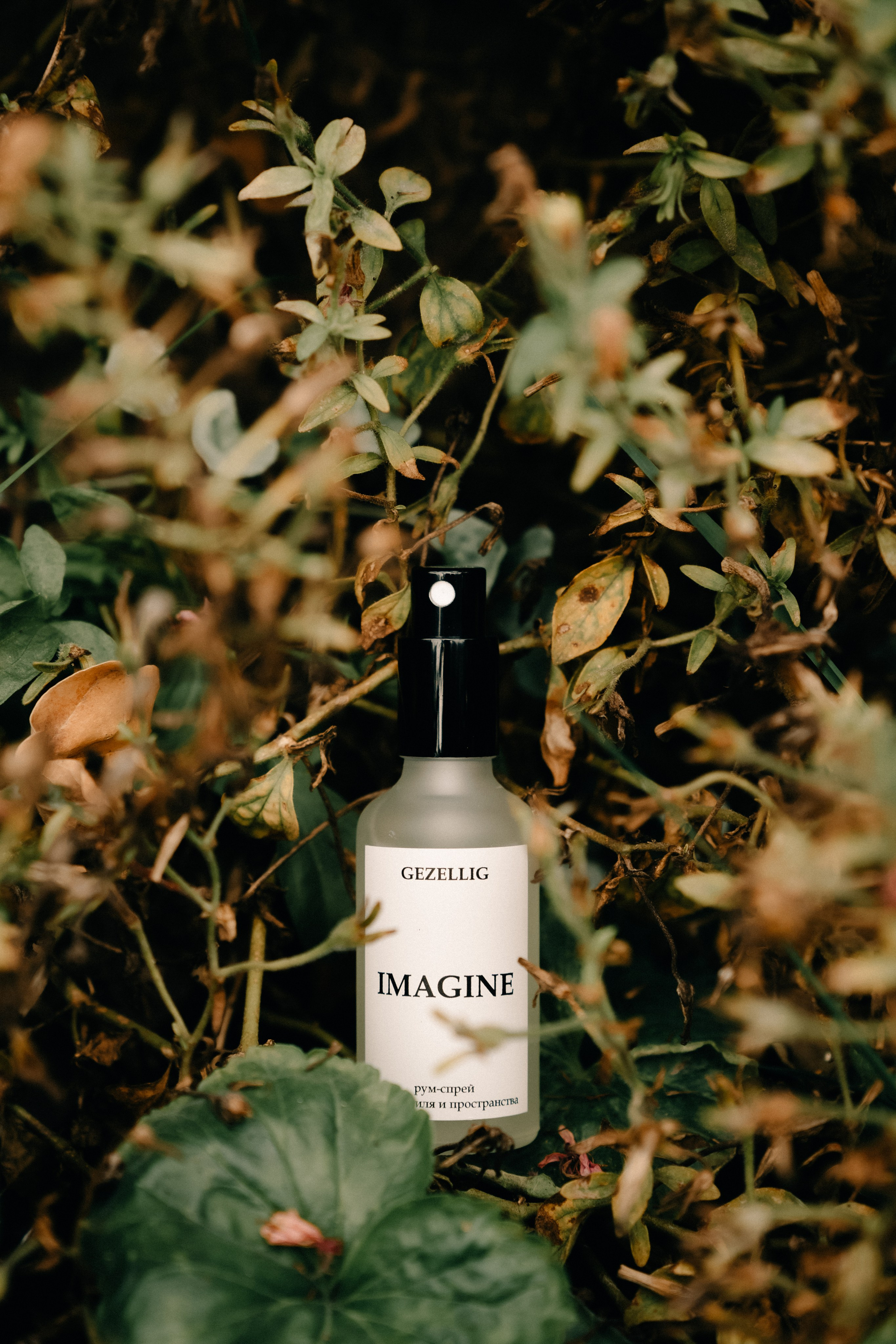 Контент-съёмка. Кошенкова Мария: портретный и репортажный фотограф. Санкт-Петербург