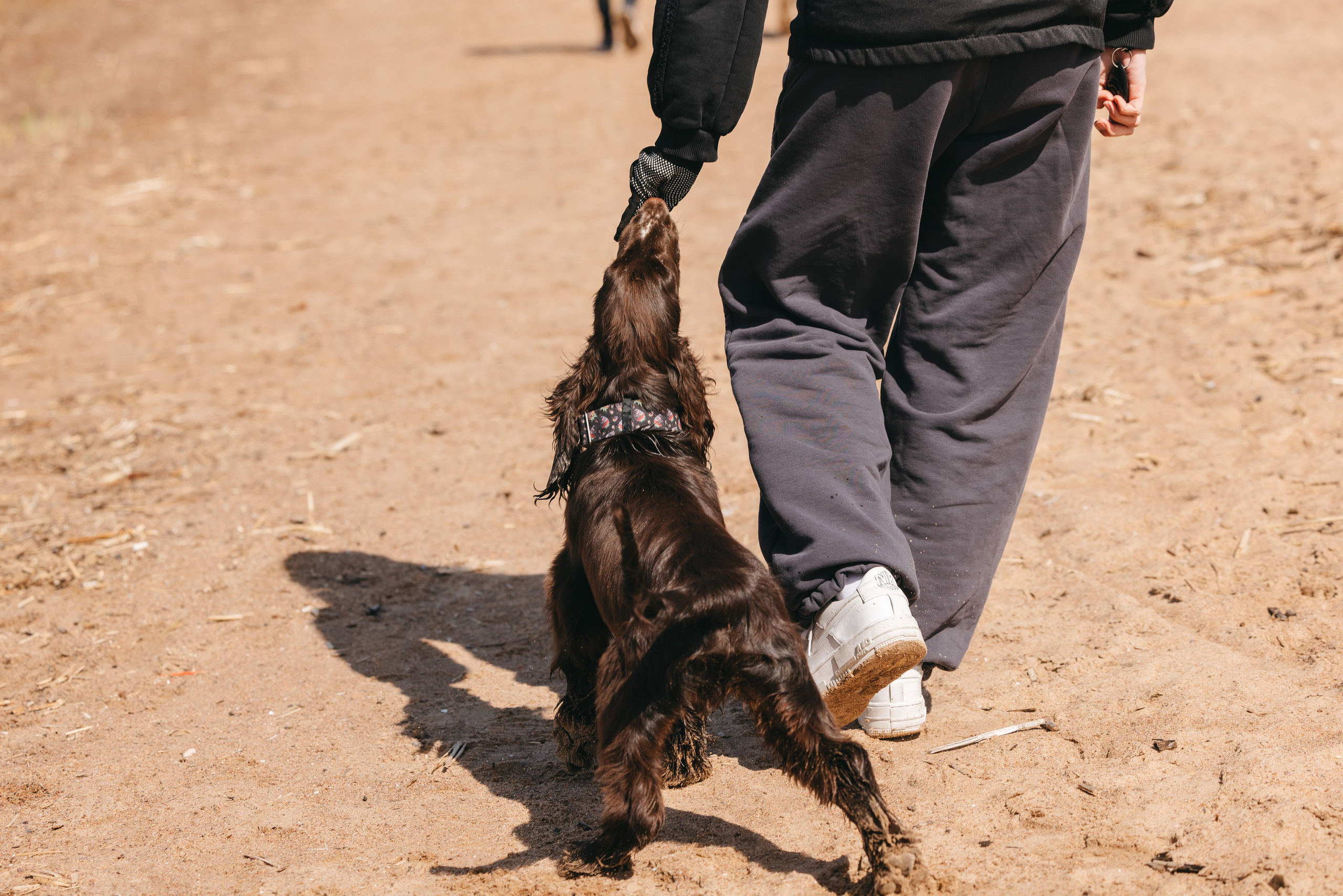 Спанимания. Фотограф анималист Осипчикова Мария