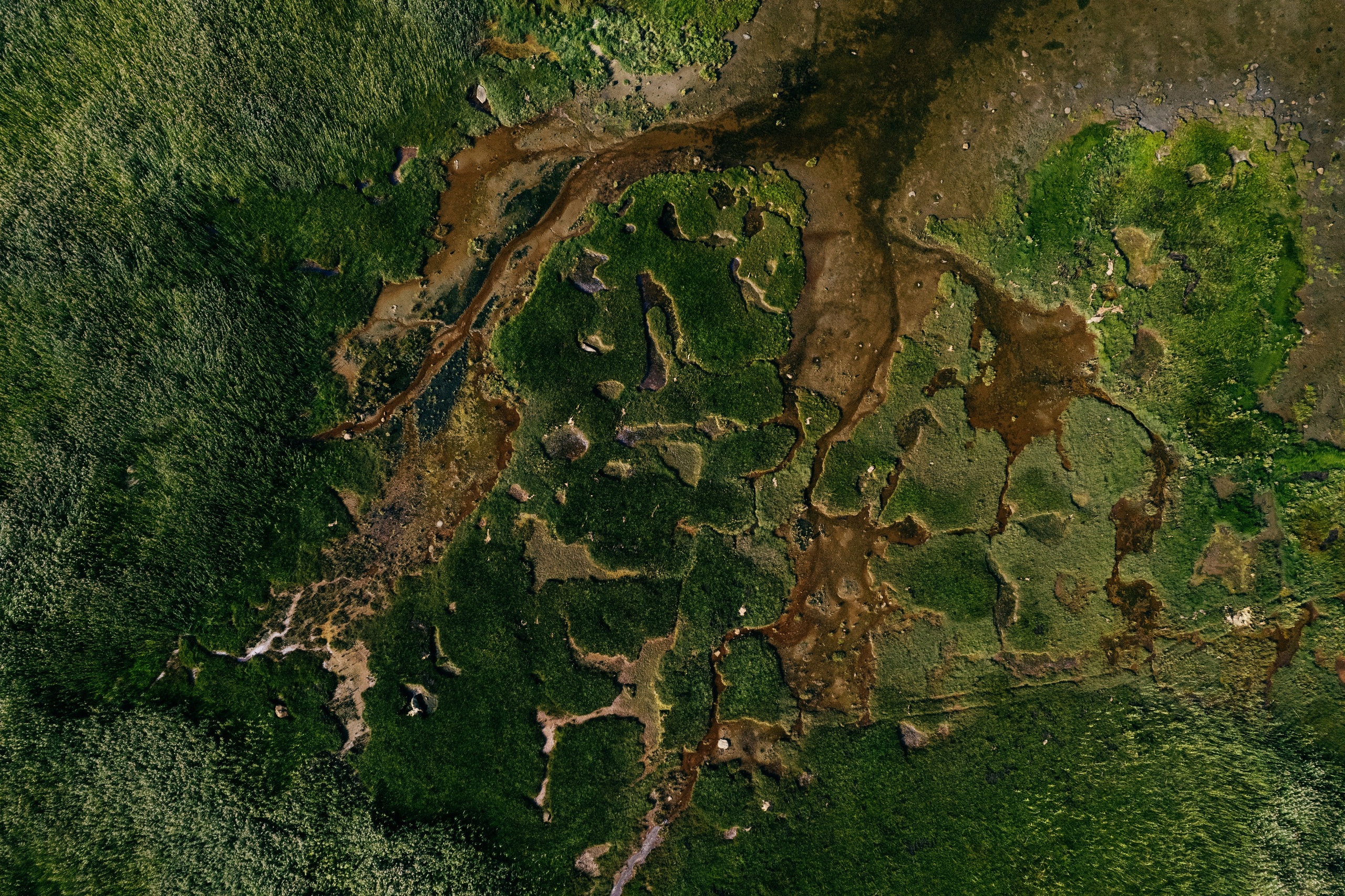 ЭТНОПАРК ГЕОГРАФИКА. Создание контента | Фото | Видеосъемка | Александр Ярков