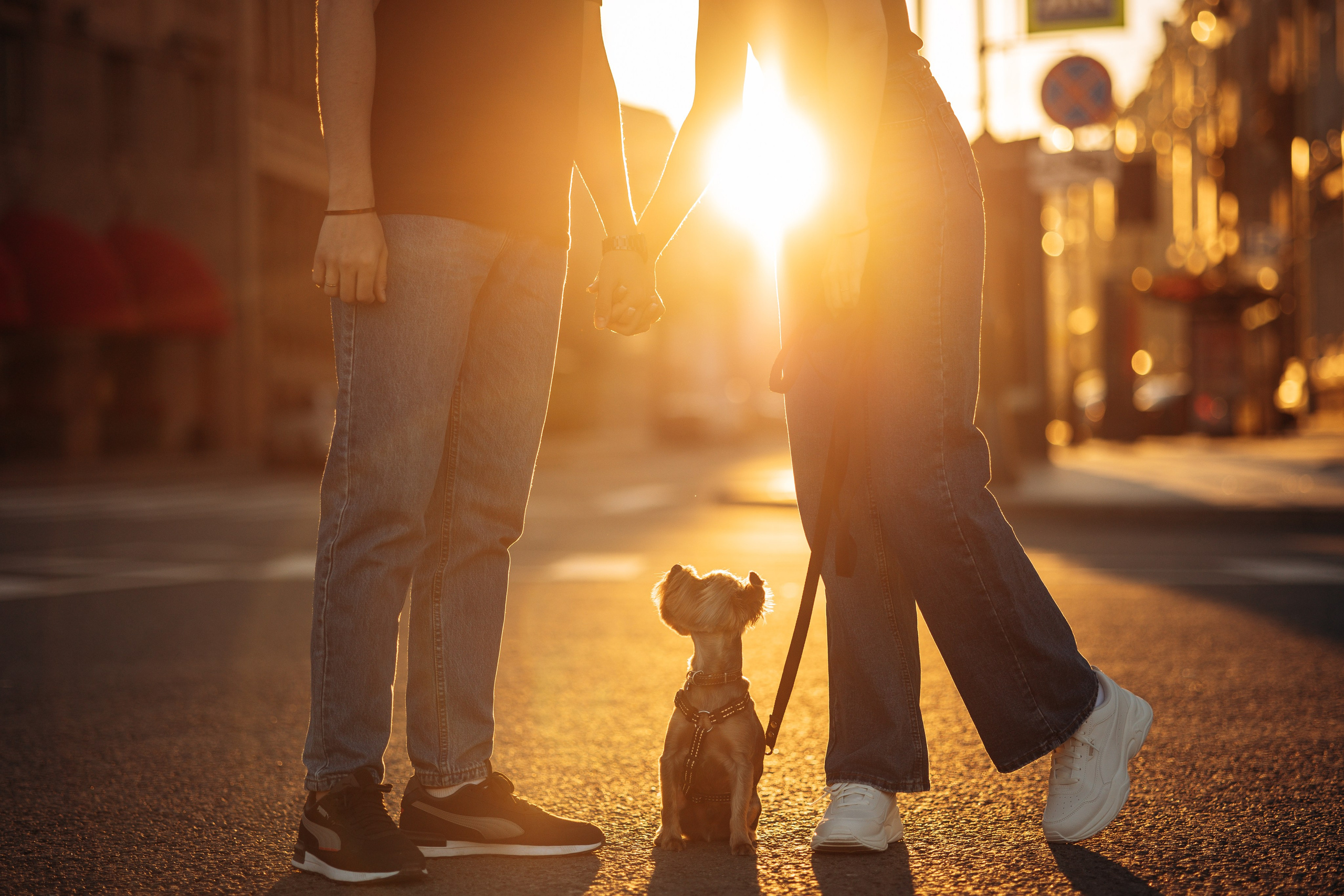 Филя и его семья. Фотограф — Анималист | Санкт-Петербург