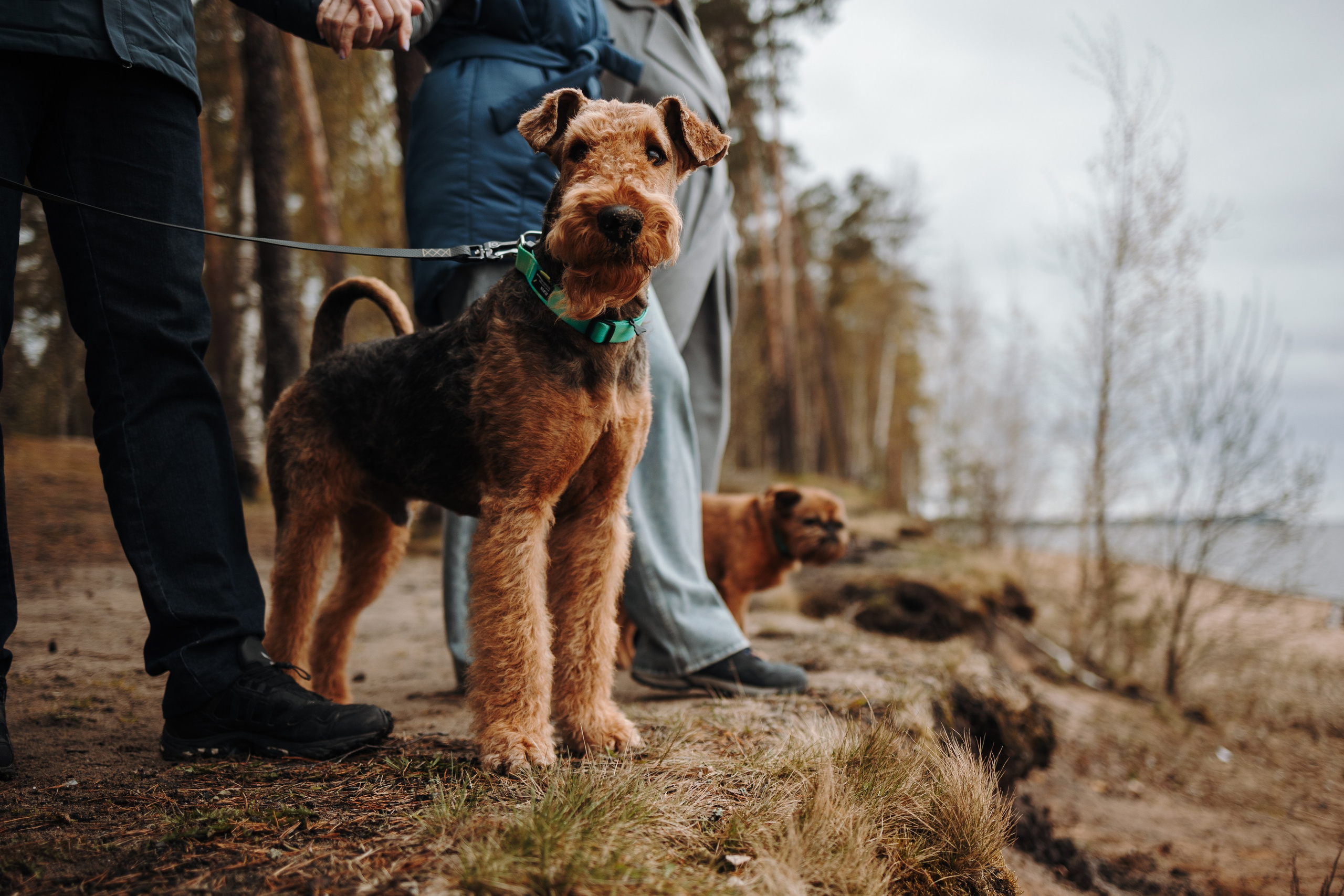 Вера и ее семья. Фотограф — Анималист | Санкт-Петербург
