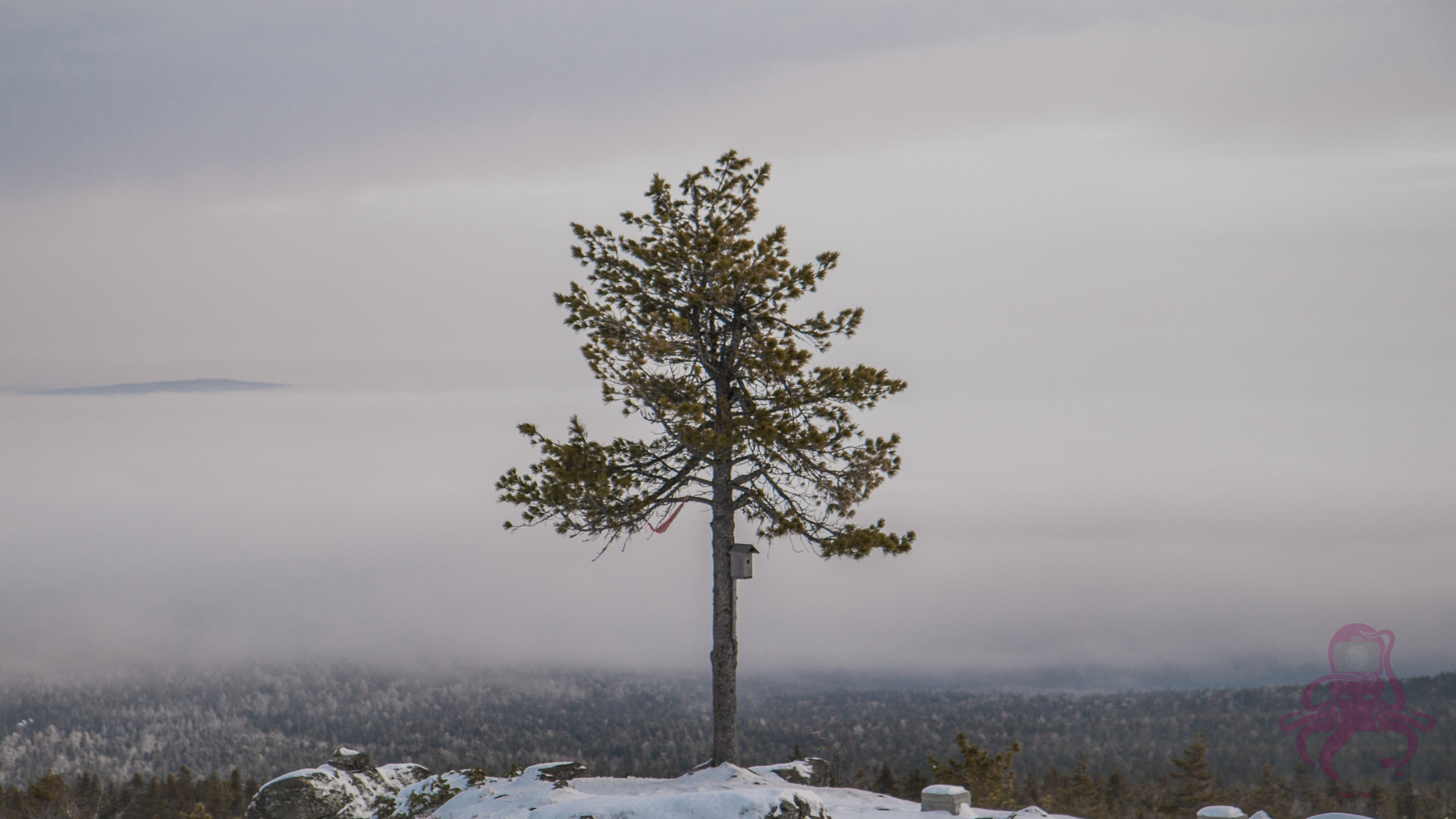 Буддистский монастырь Шад Тчуп Линг. Предметный и репортажный фотограф Алексей Кротов