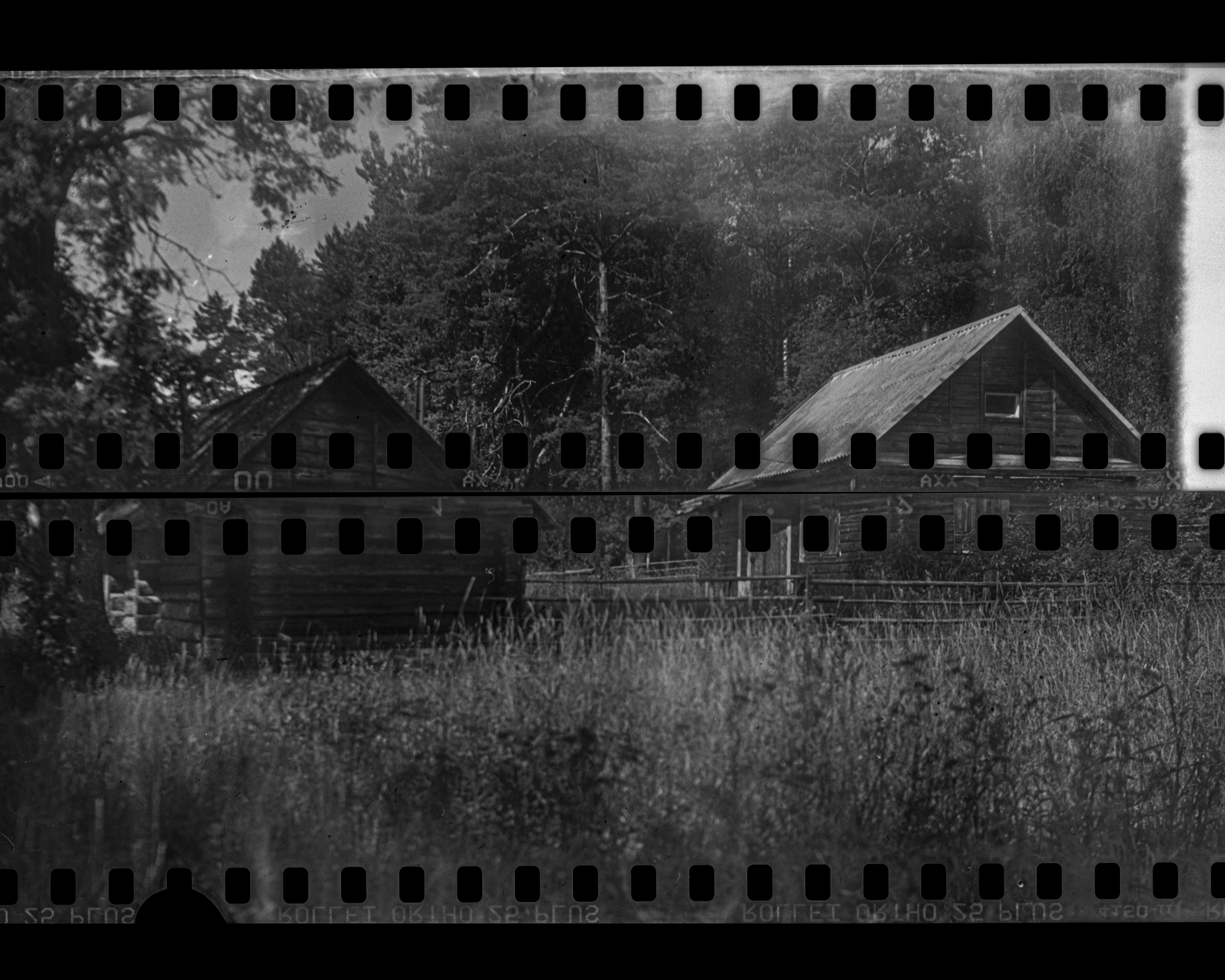 Rollei Ortho