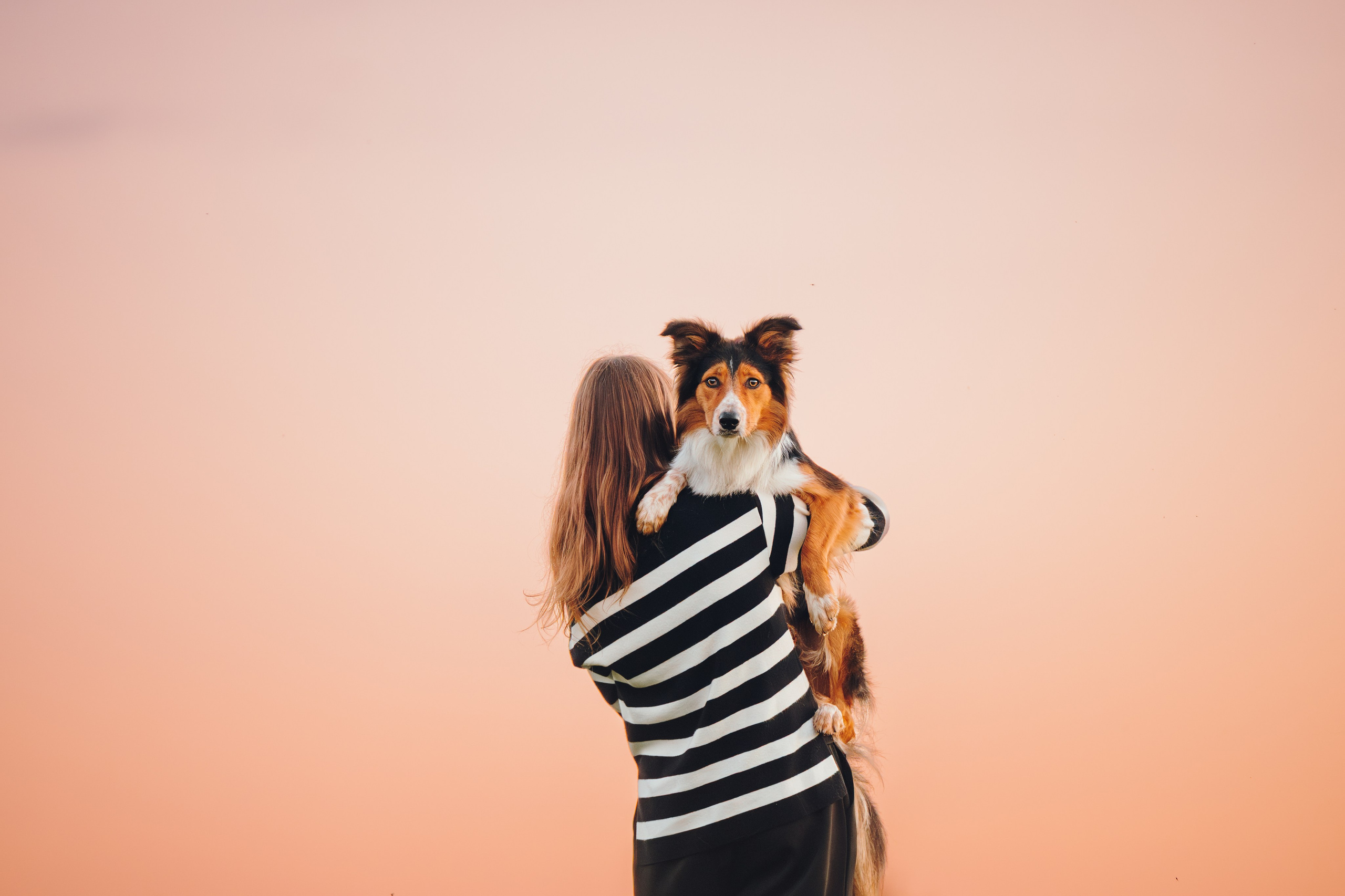 Саша, Флик и Эсприт. Семейный фотограф анималист Ананьева Мария — Москва