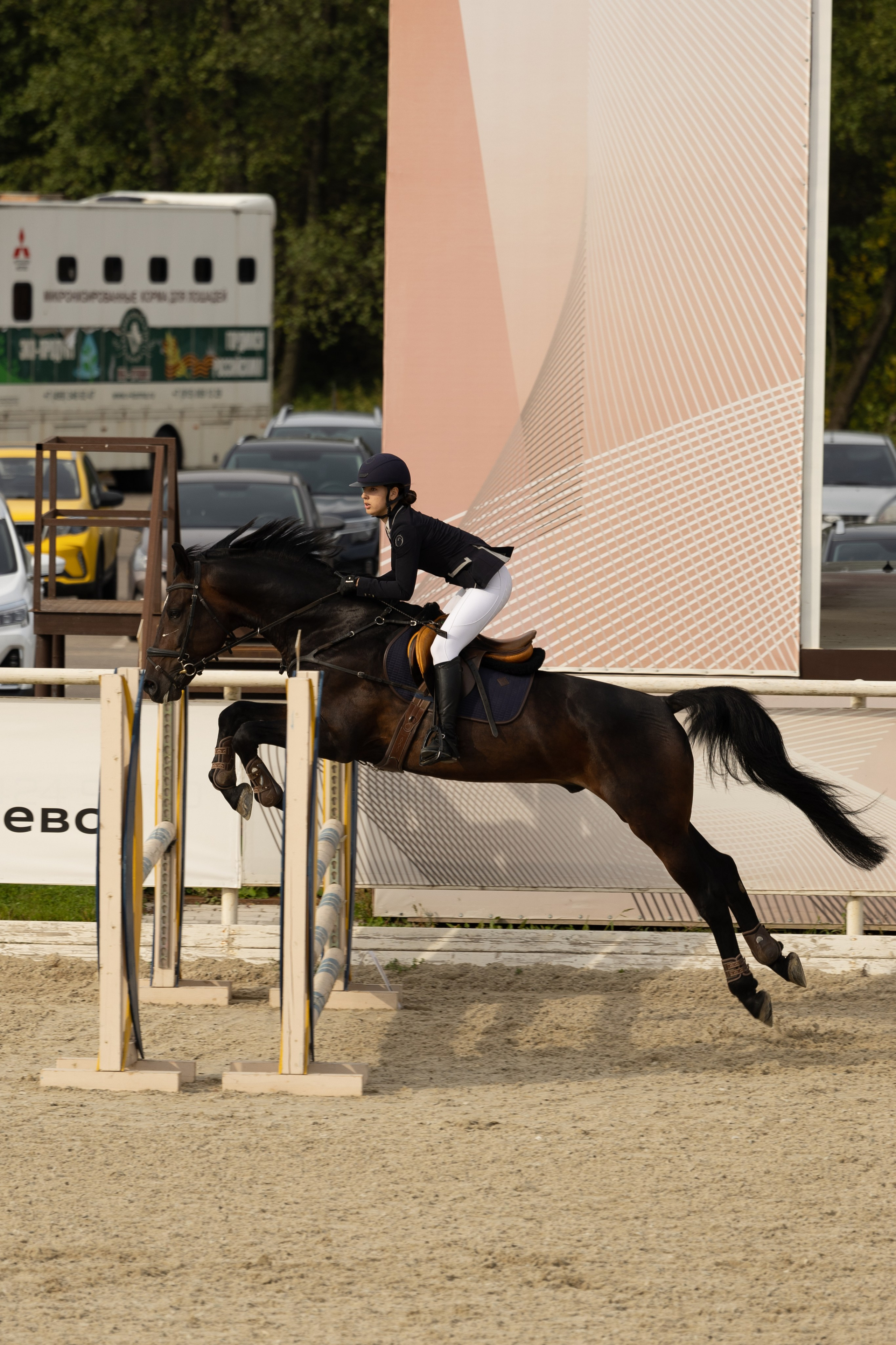Соревнования по конкуру. Фотограф в Москве Светлана Богначева