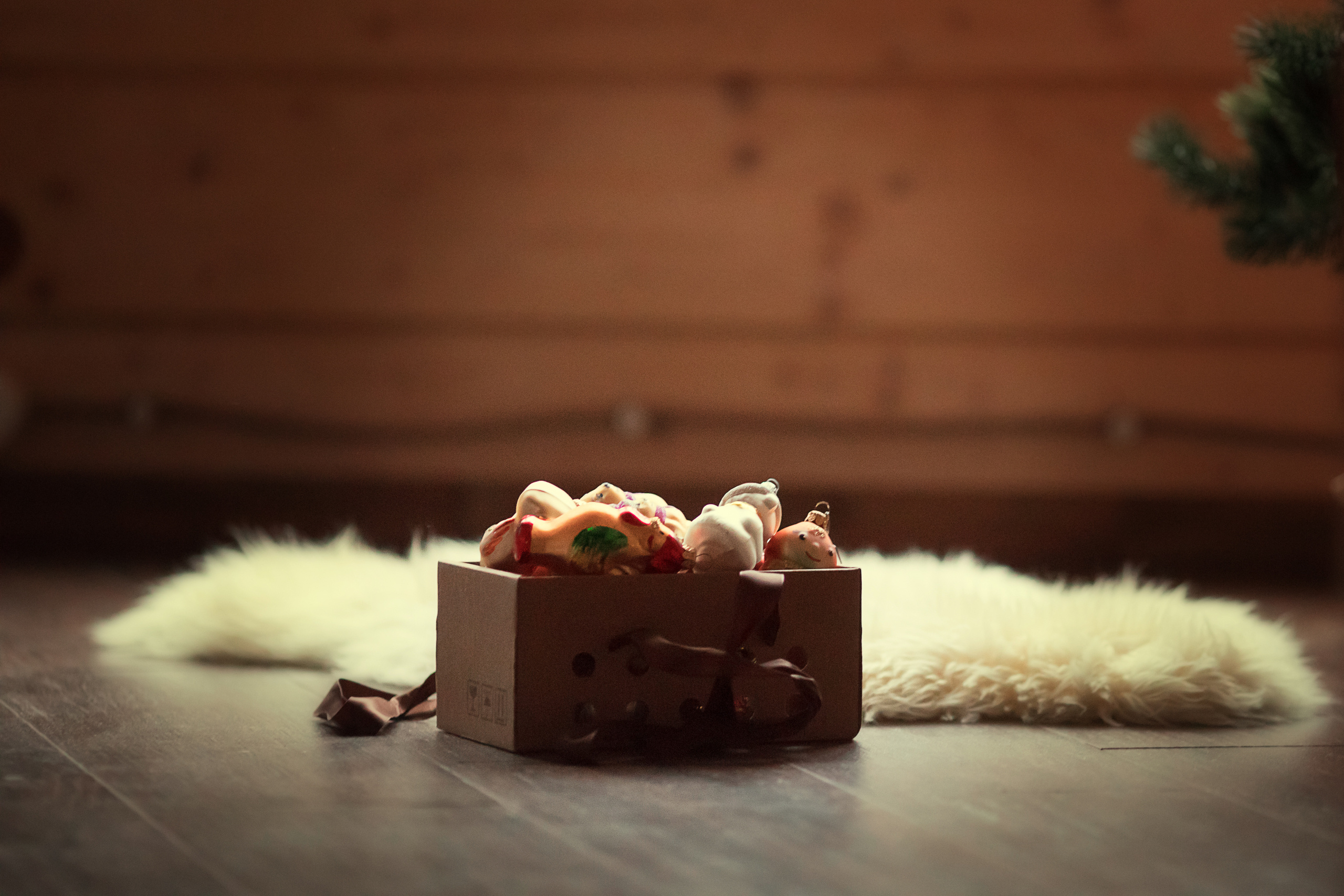 Первый Новый год Мишутки. Детский и семейный фотограф Муксимова Ирина