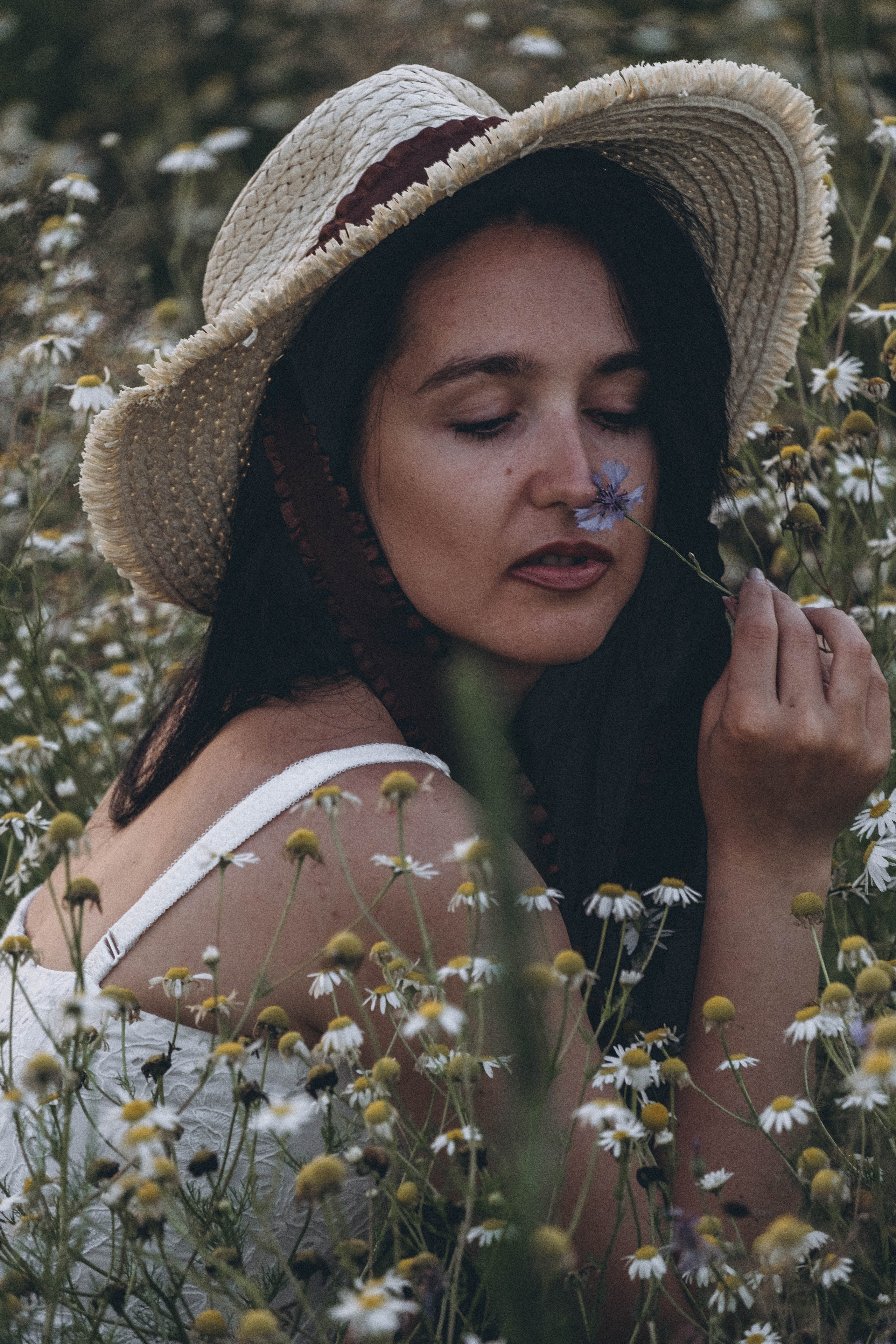 Ромашковое поле. Профессиональный фотограф, Санкт-Петербург — Виктория Богомолова