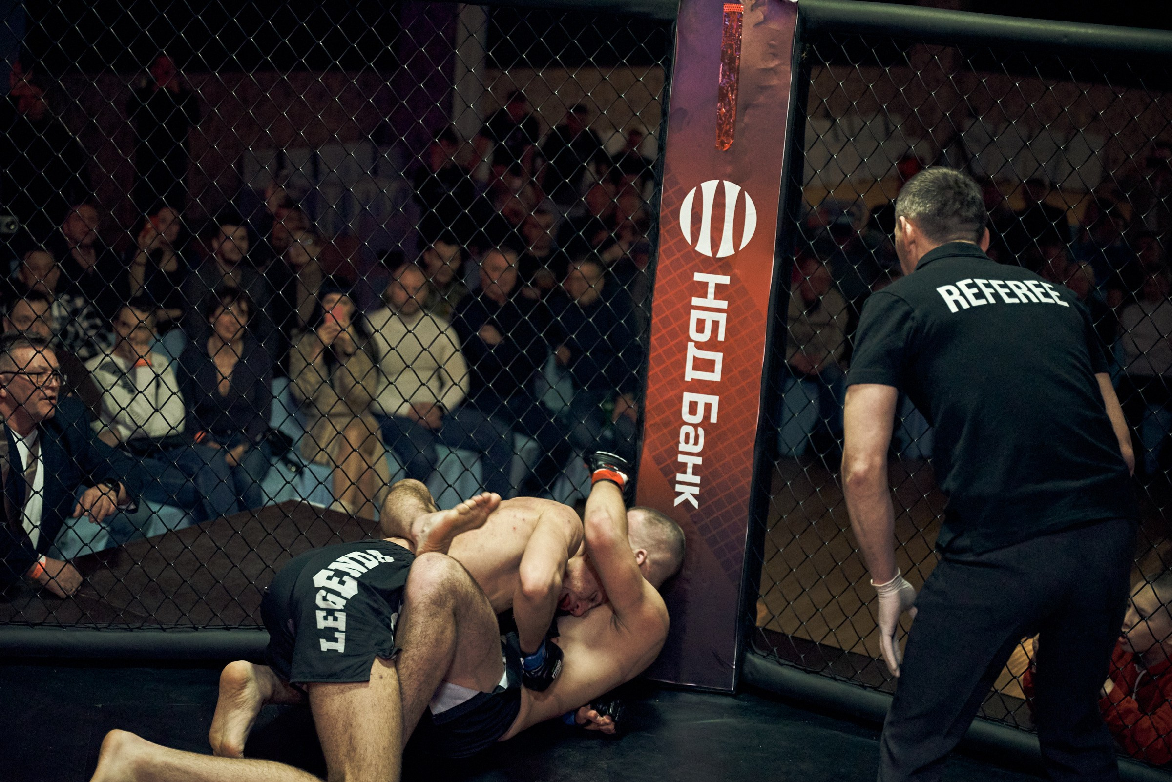 Бои. Маляревич Дмитрий свадебный фотограф