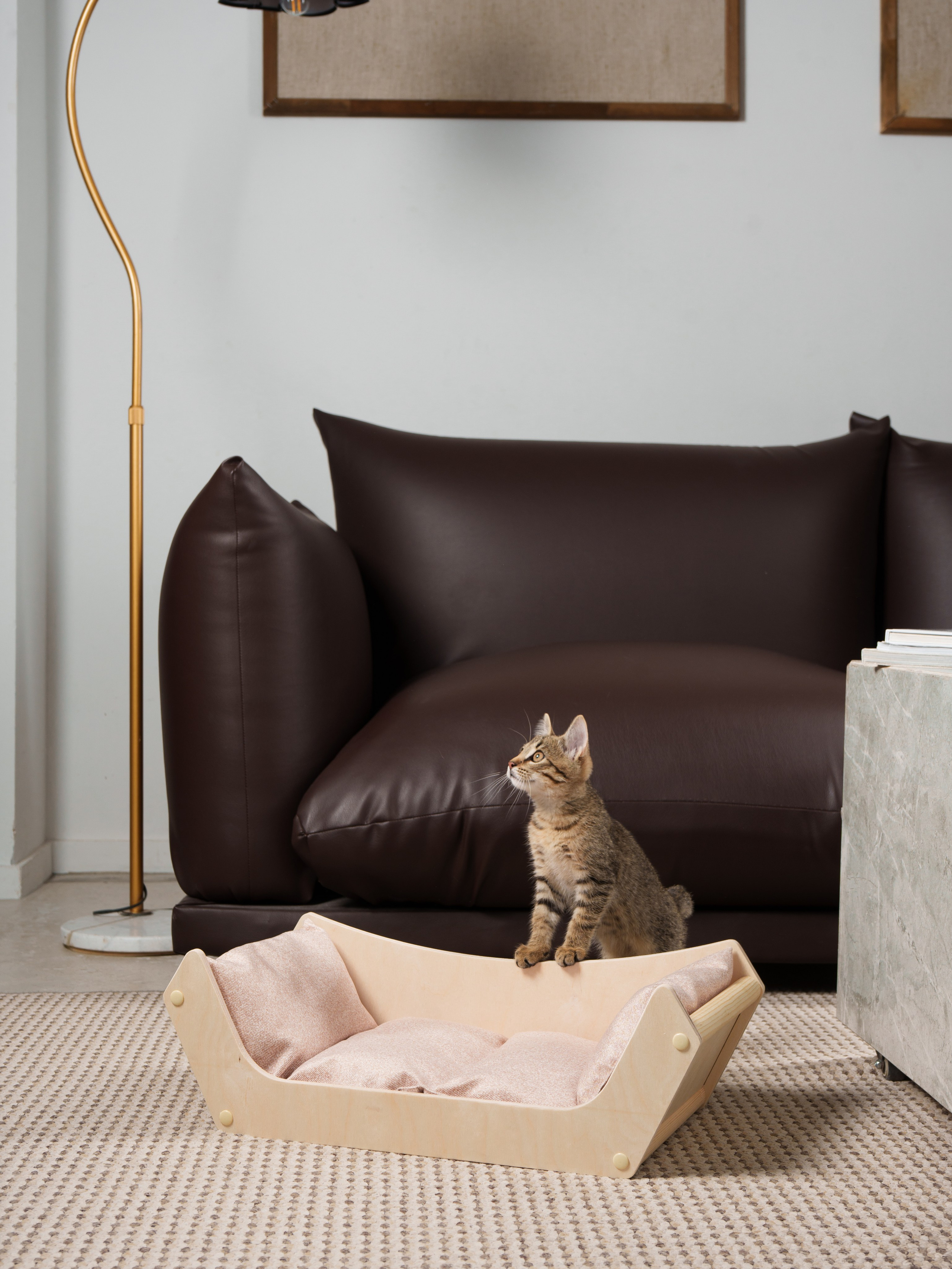 фотосъемка товаров для животных