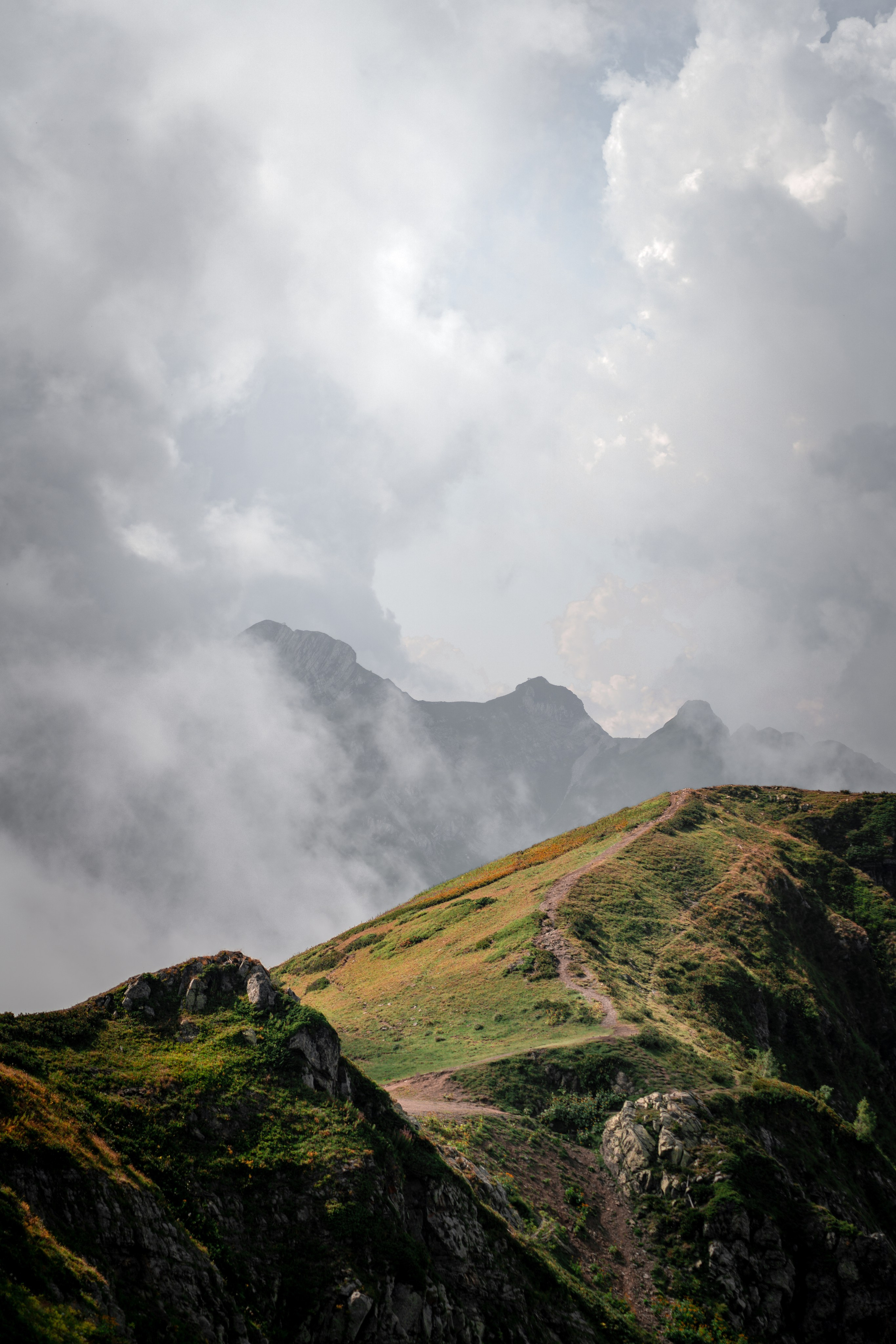 Сочи. Фотограф Александра Волкова | Волгоград
