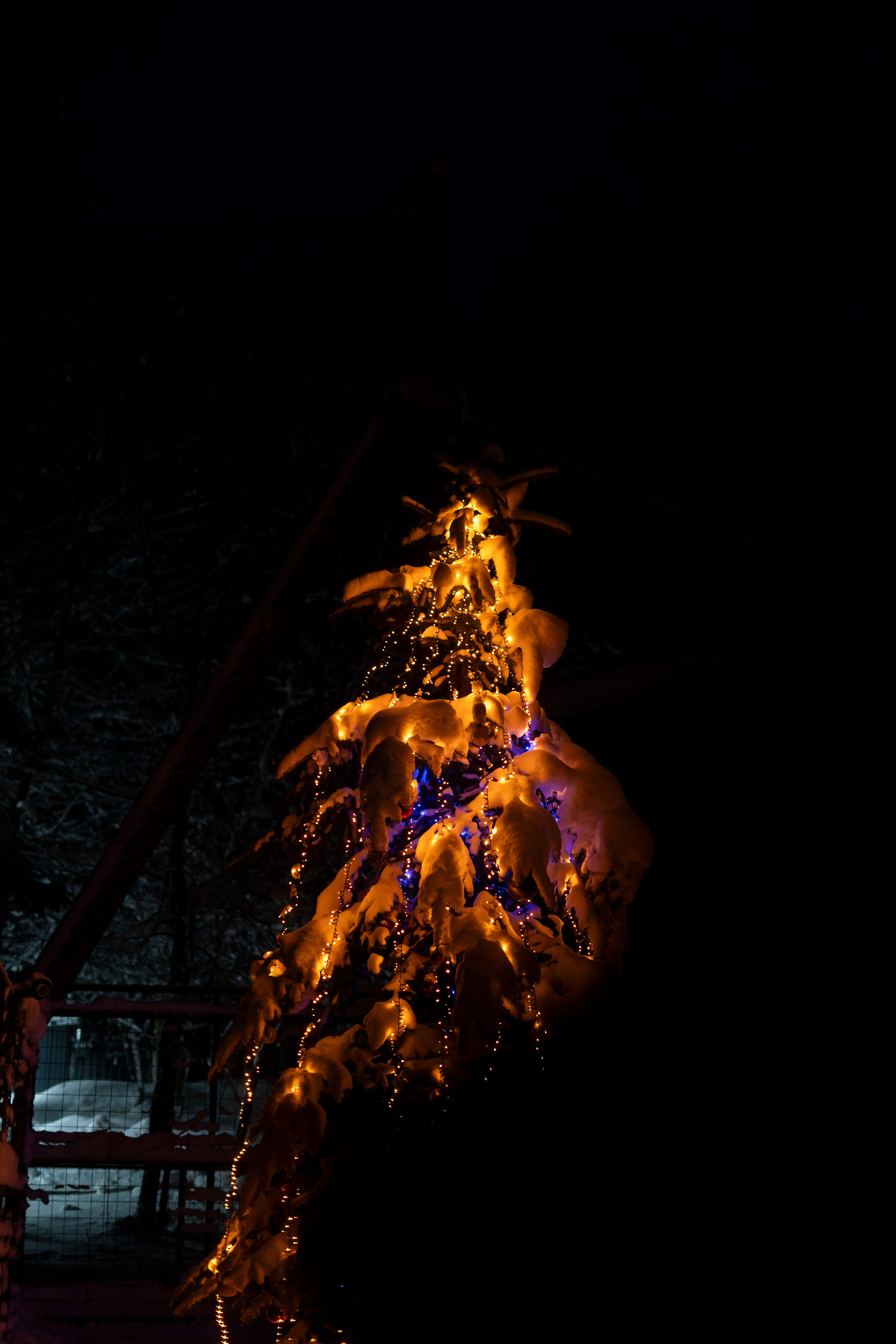 Домбай. Фотограф Александра Волкова | Волгоград