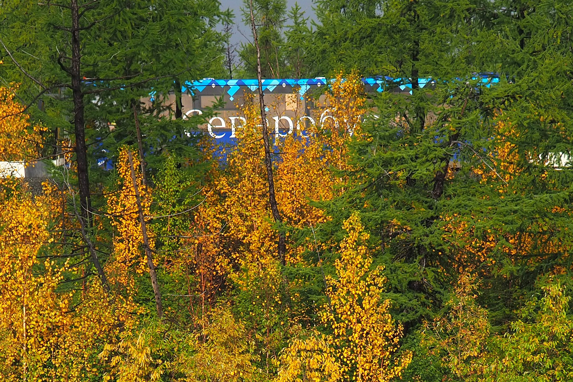 Природа.Осень. Талнах.рф
