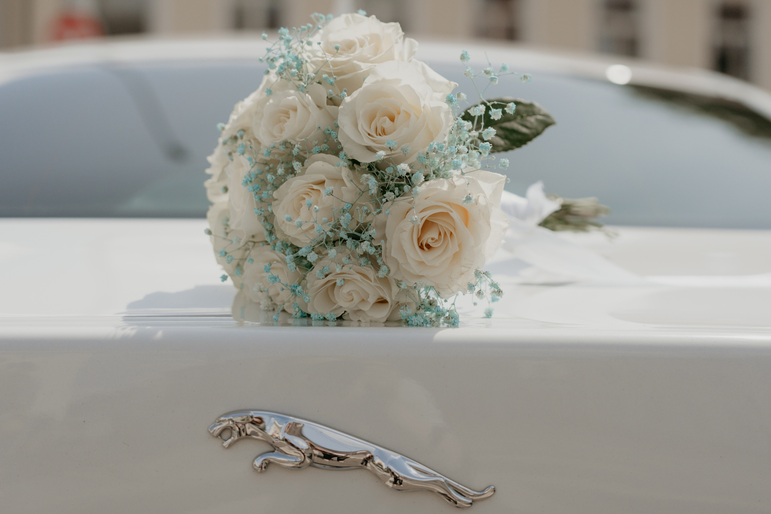 Евгений и Юлия. Янина Зудина — видеограф Тверь /Москва