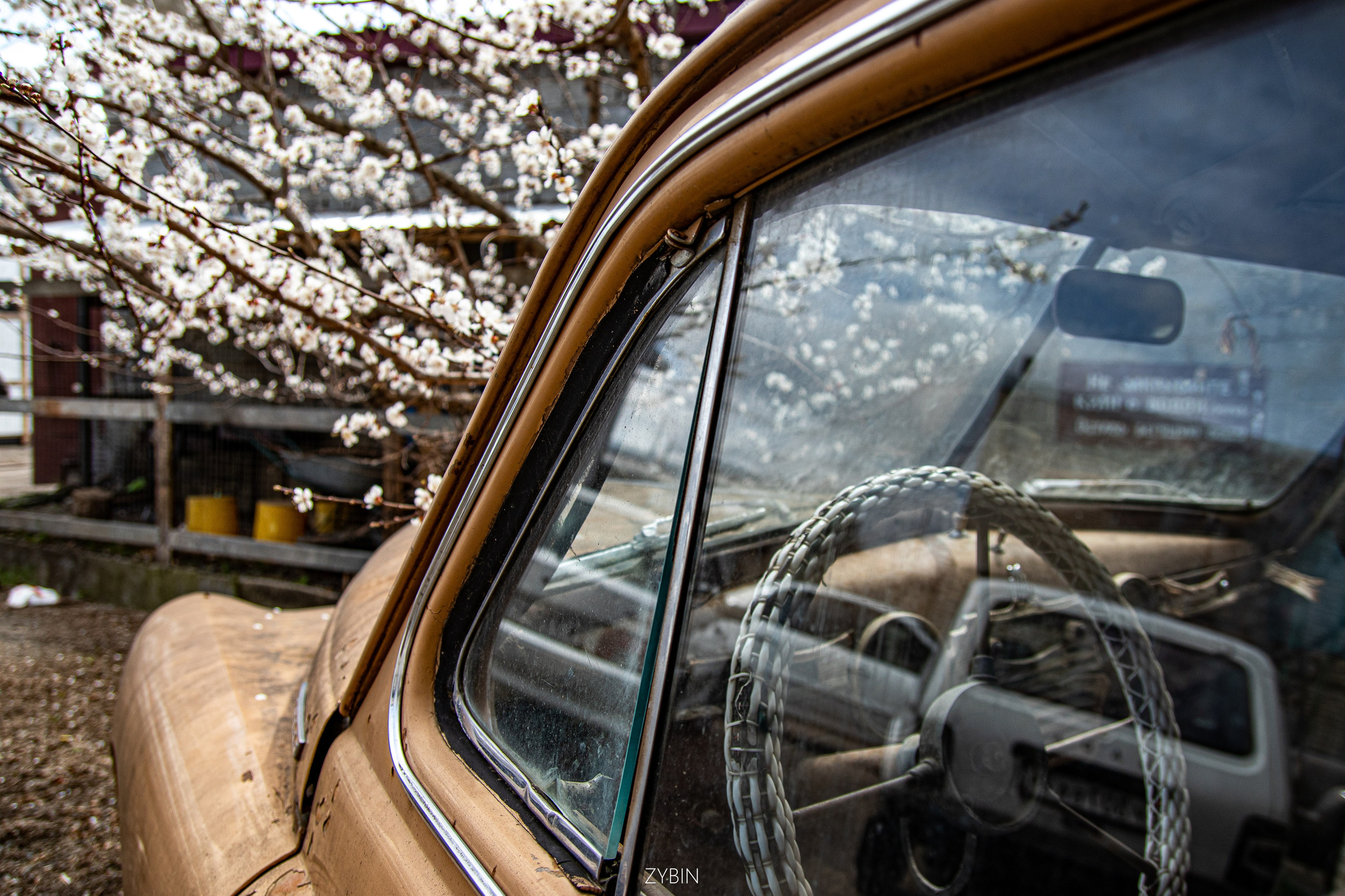 Творчество. Илья Зыбин — репортажный фотограф