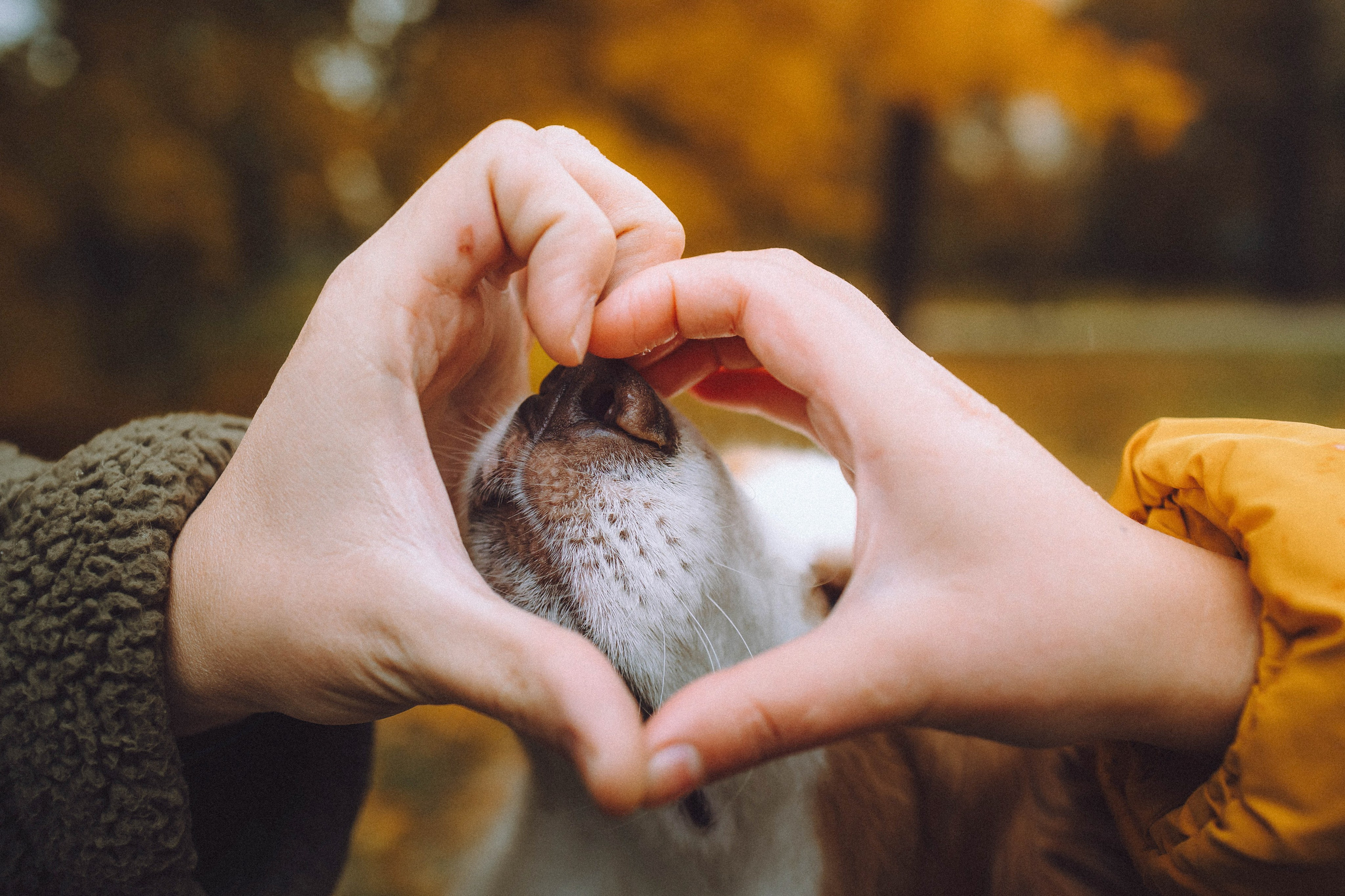 Алина, Витя и Асти