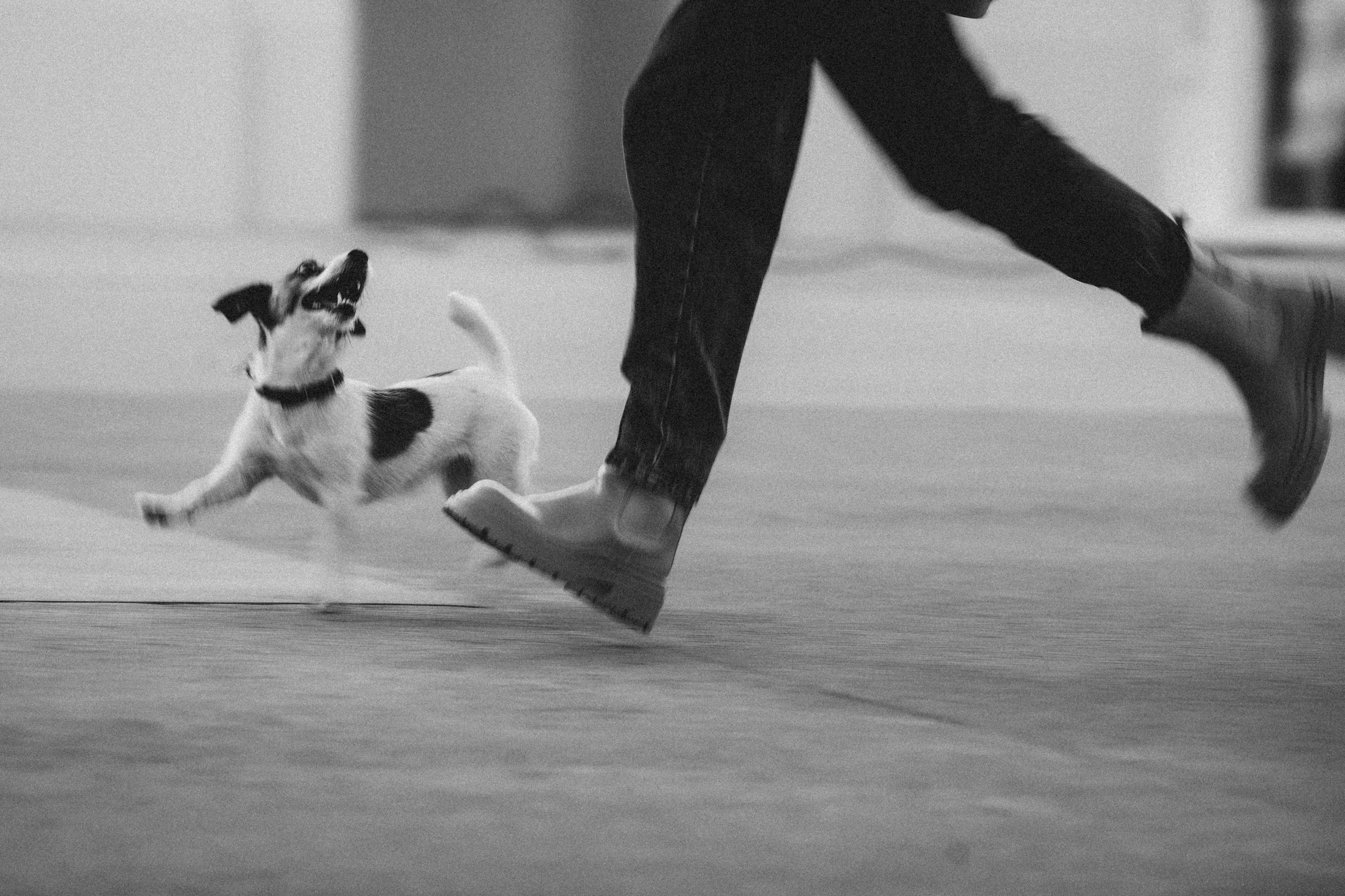 Лера и Рада